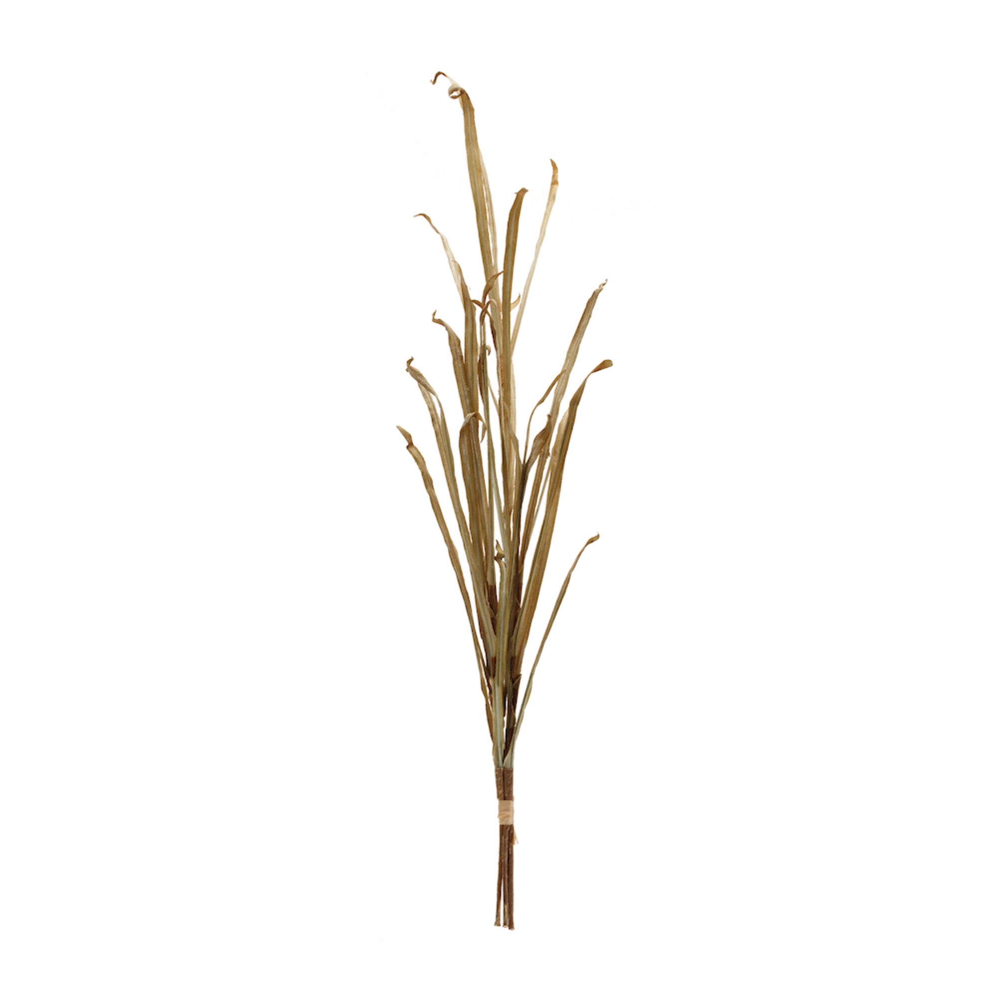 Grass Stem 38”H Polyester