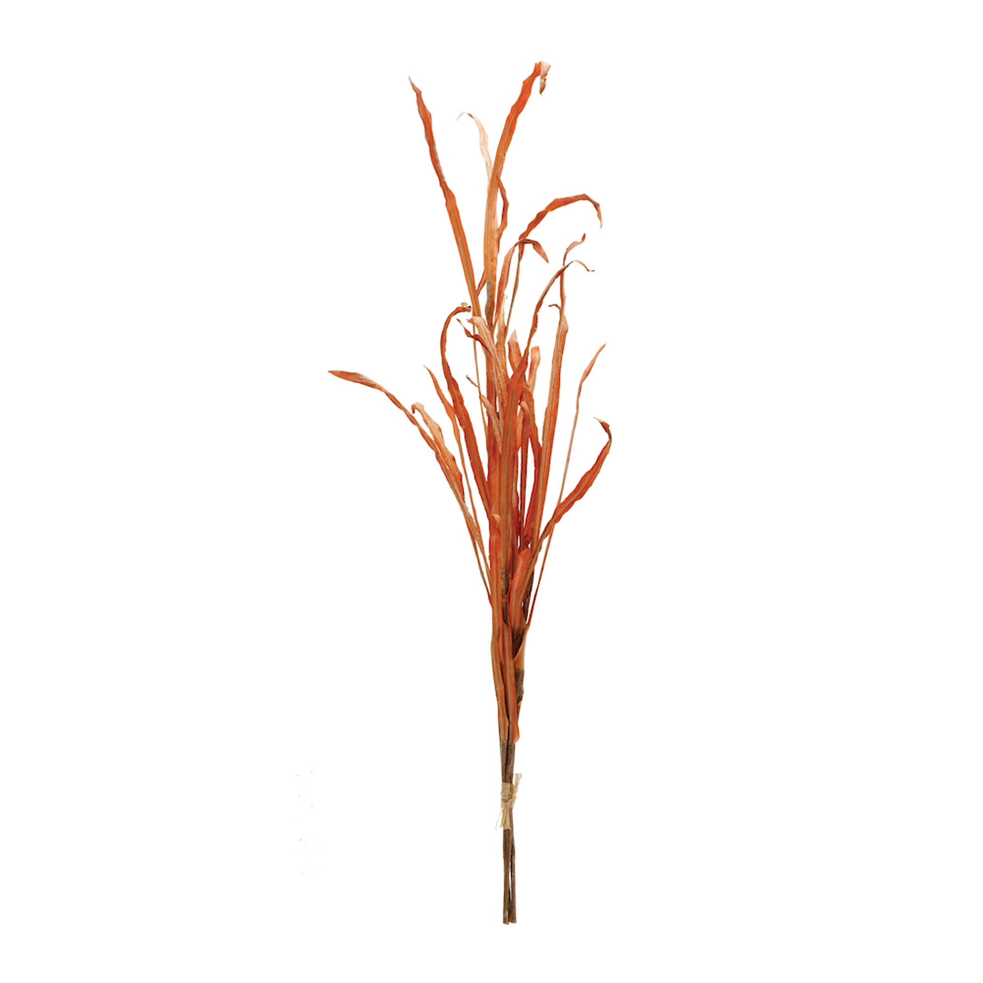 Grass Stem 38”H Polyester
