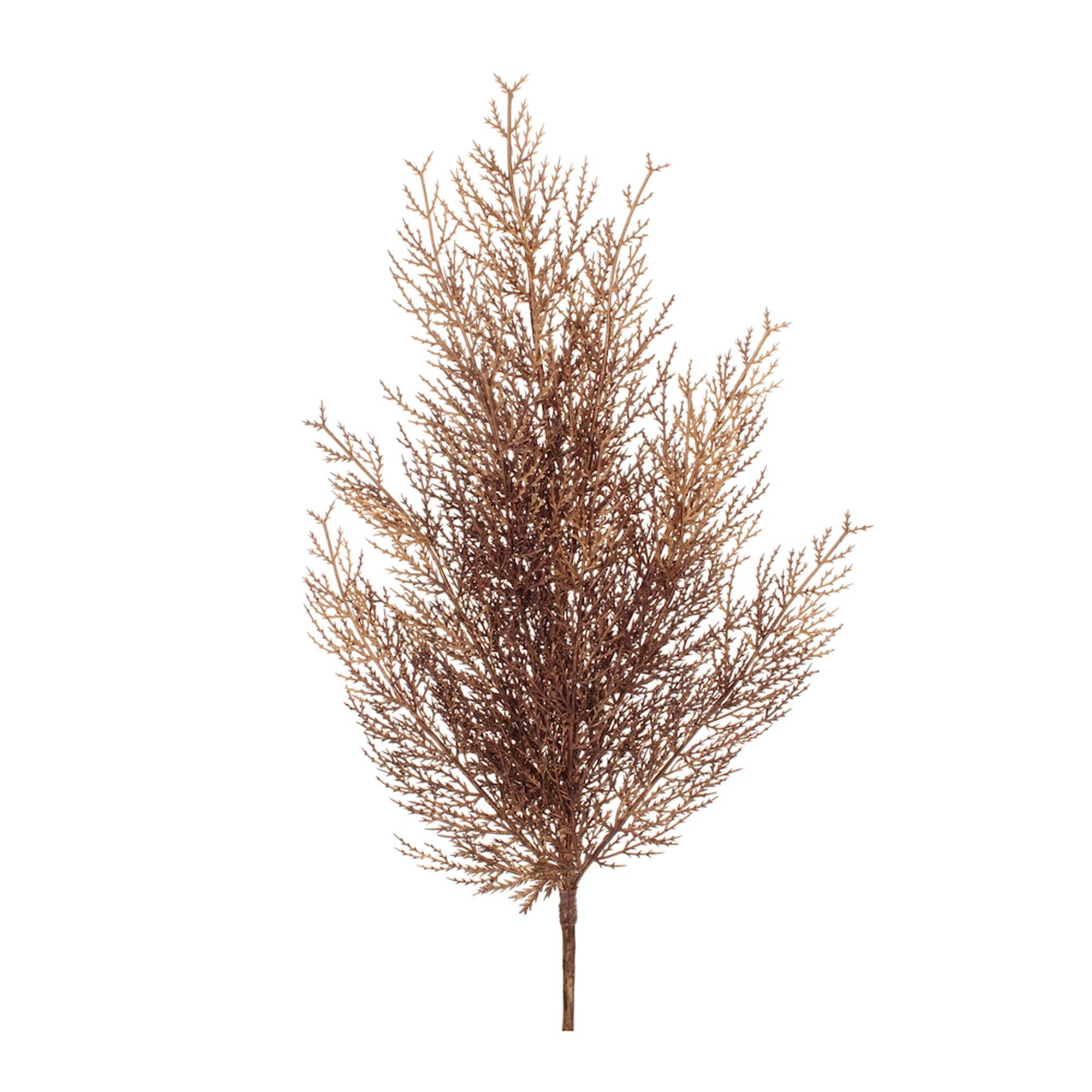 Cedar Spray 28”H