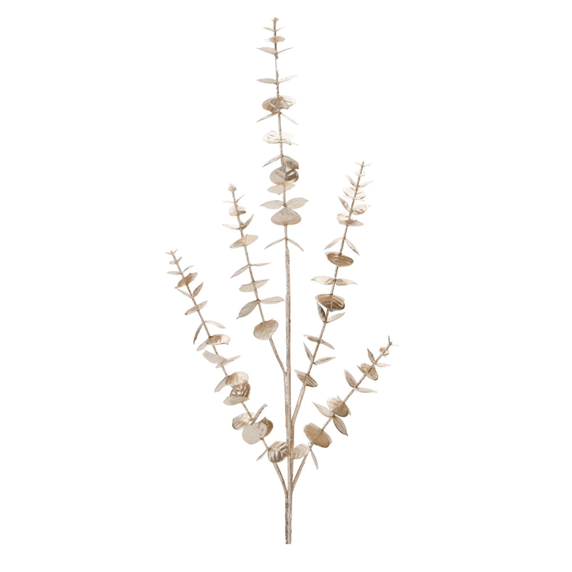 Eucalyptus Spray 36”H