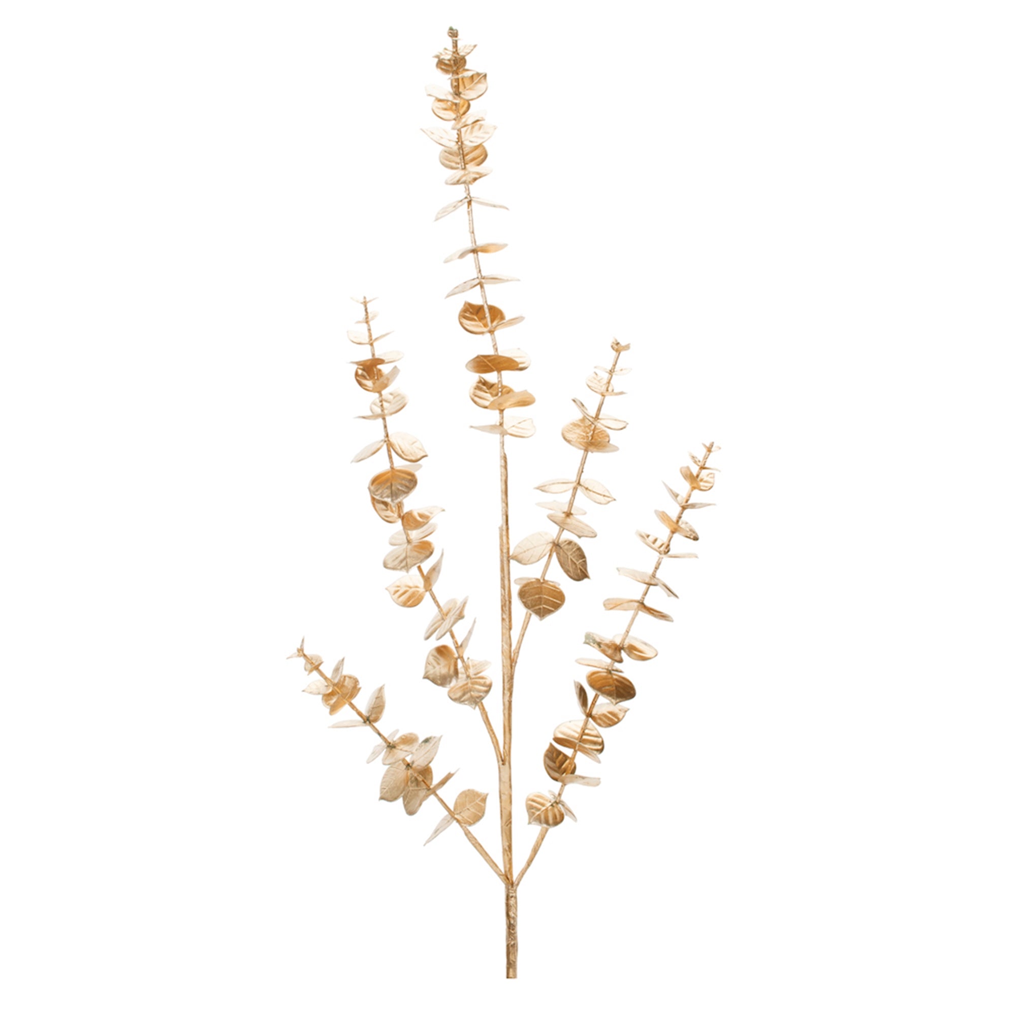 Eucalyptus Spray 36”H