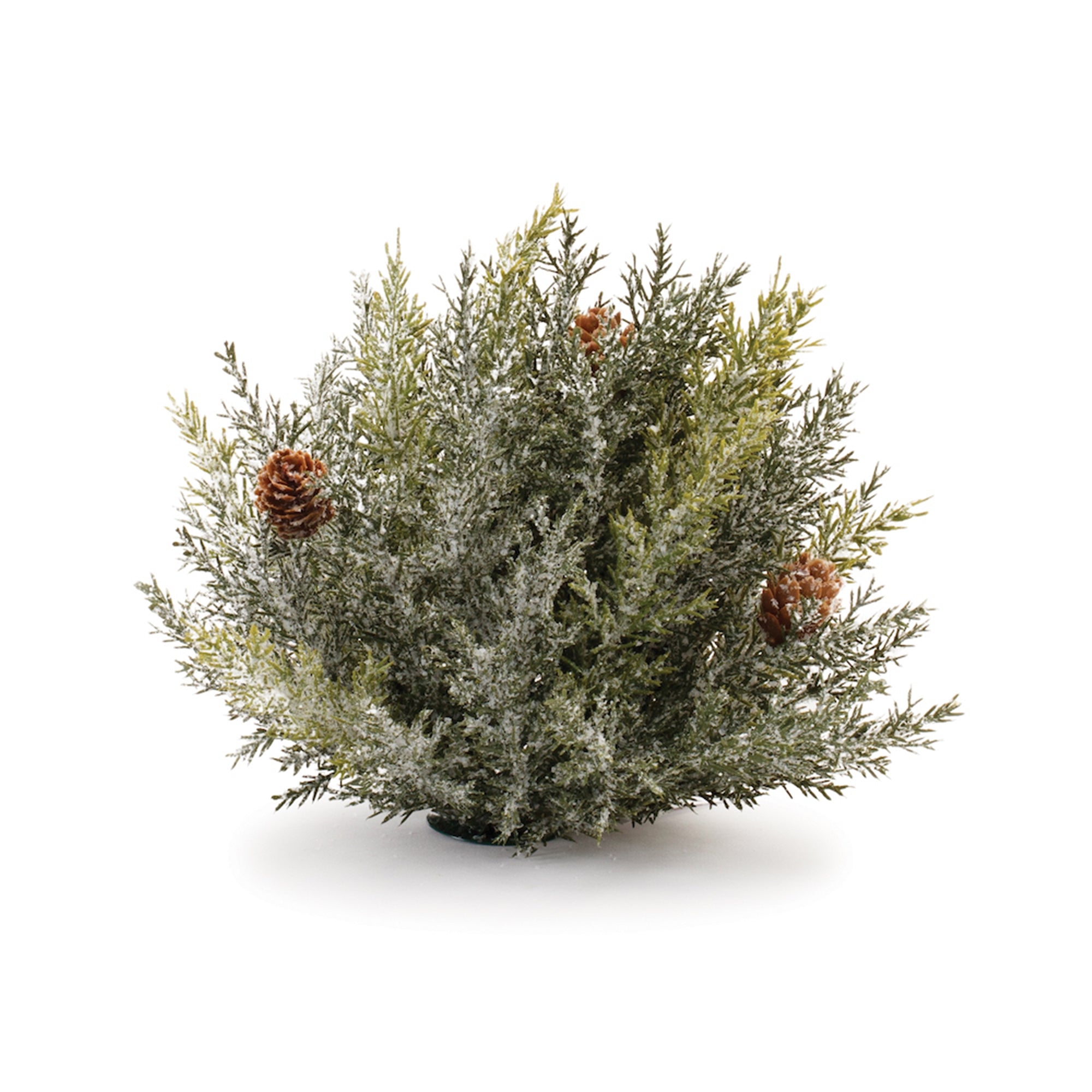 Icy Pine Half Orb 6.5”D
