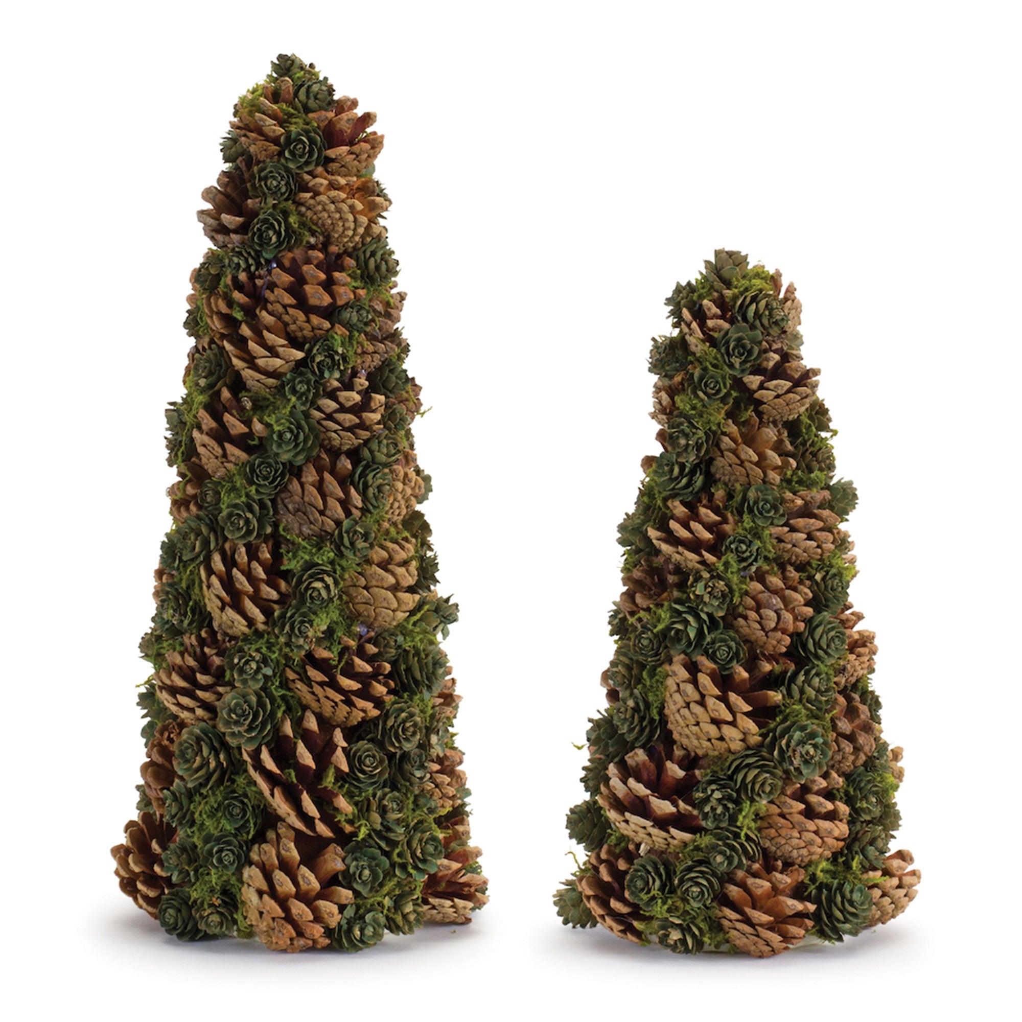 Pine Cone Tree Form (Set of 2) 11.5"H, 14.5"H Foam/Cone