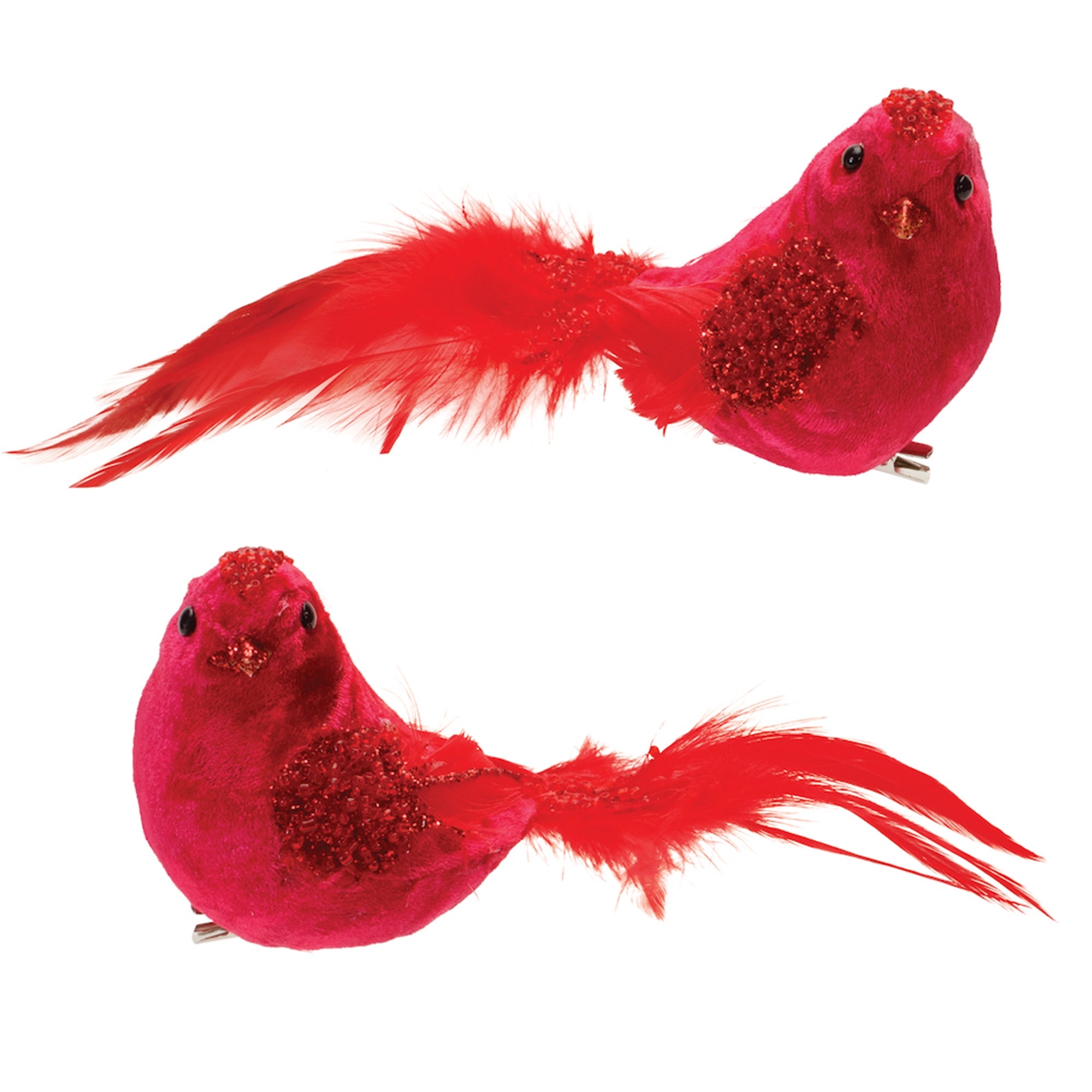 Bird Clip (2 Asst) 8"L x 3.5"H Foam/Velvet