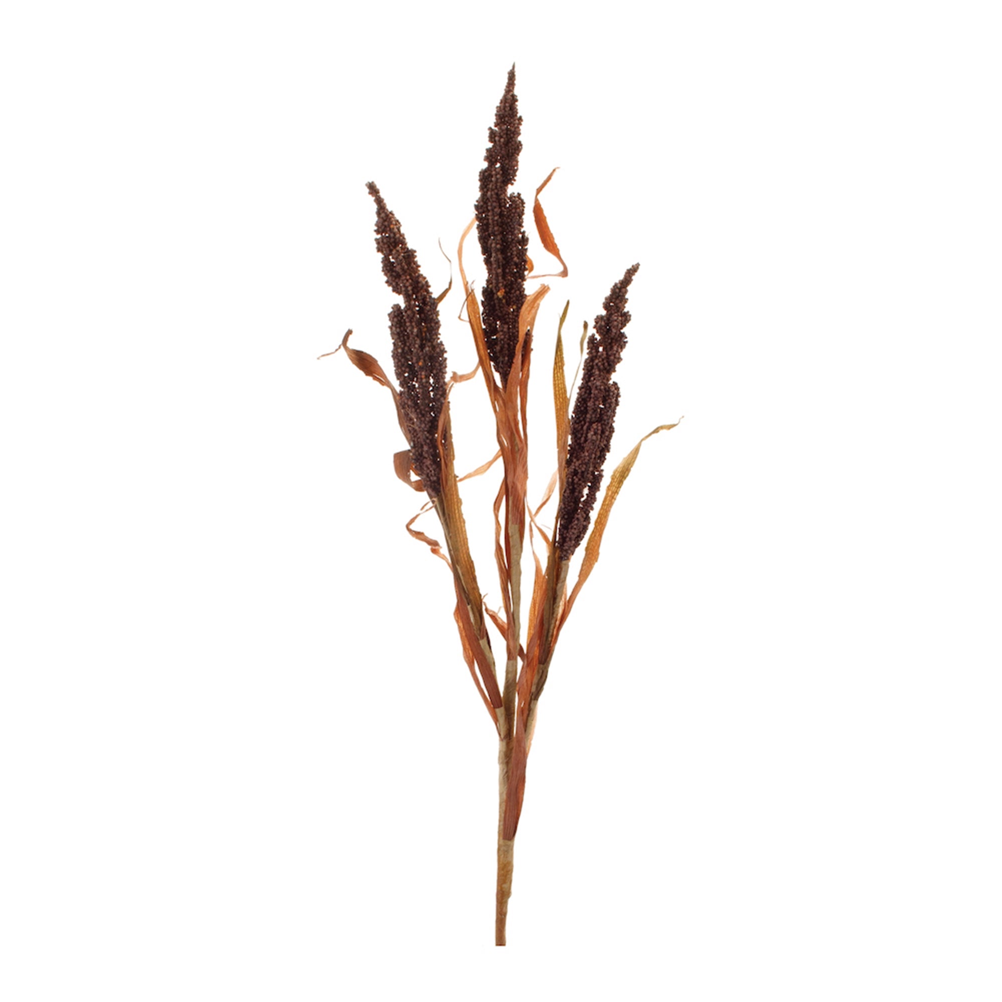 Astilbe Grass Spray 25”H