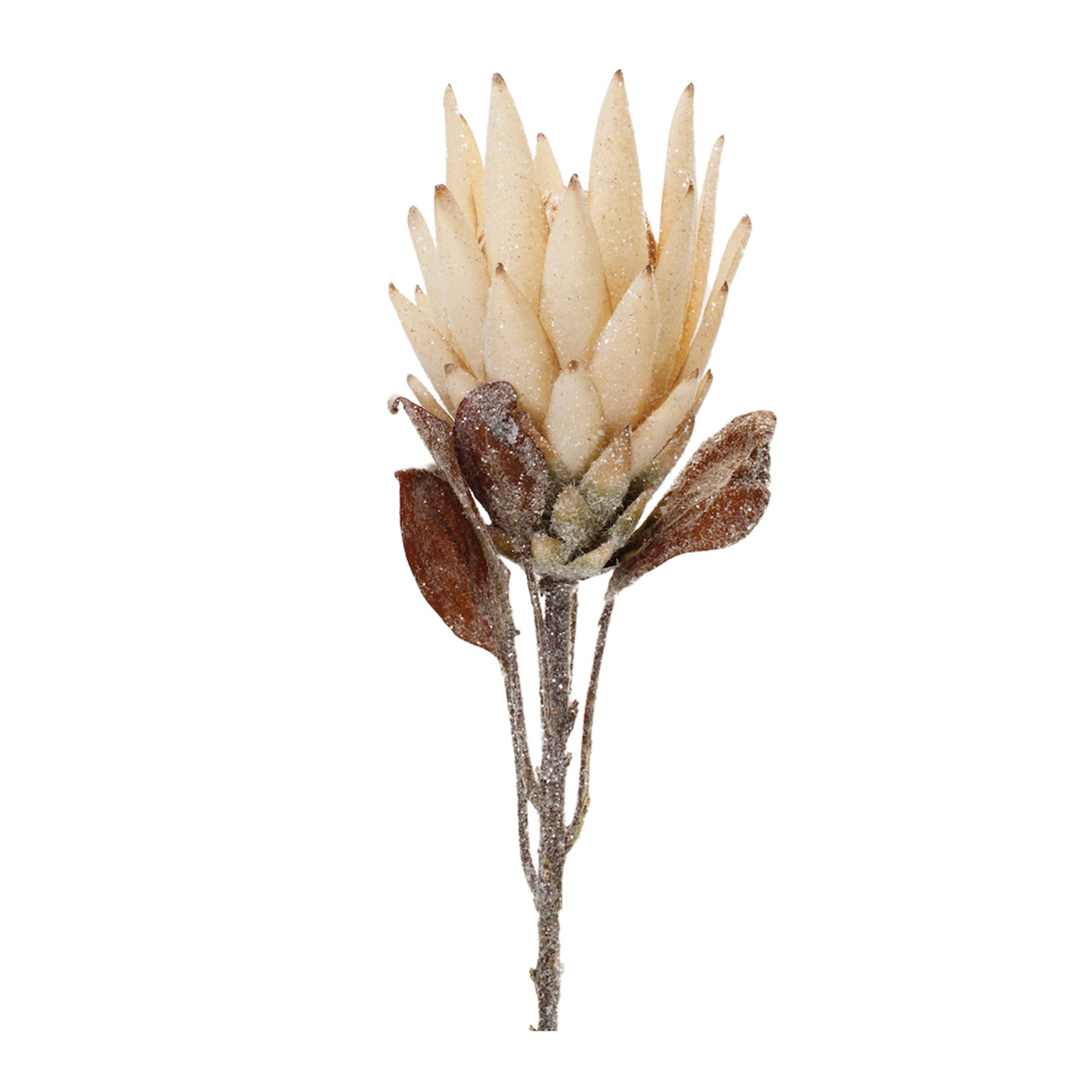 Protea Stem 29”H Polyester