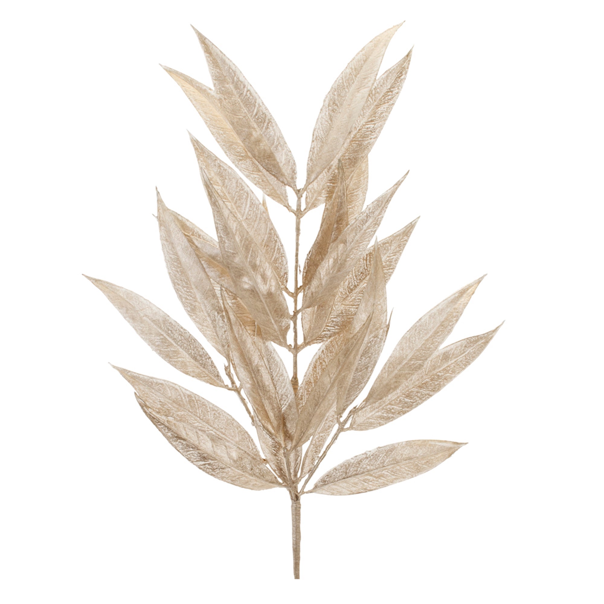 Bay Leaf Spray 23”H