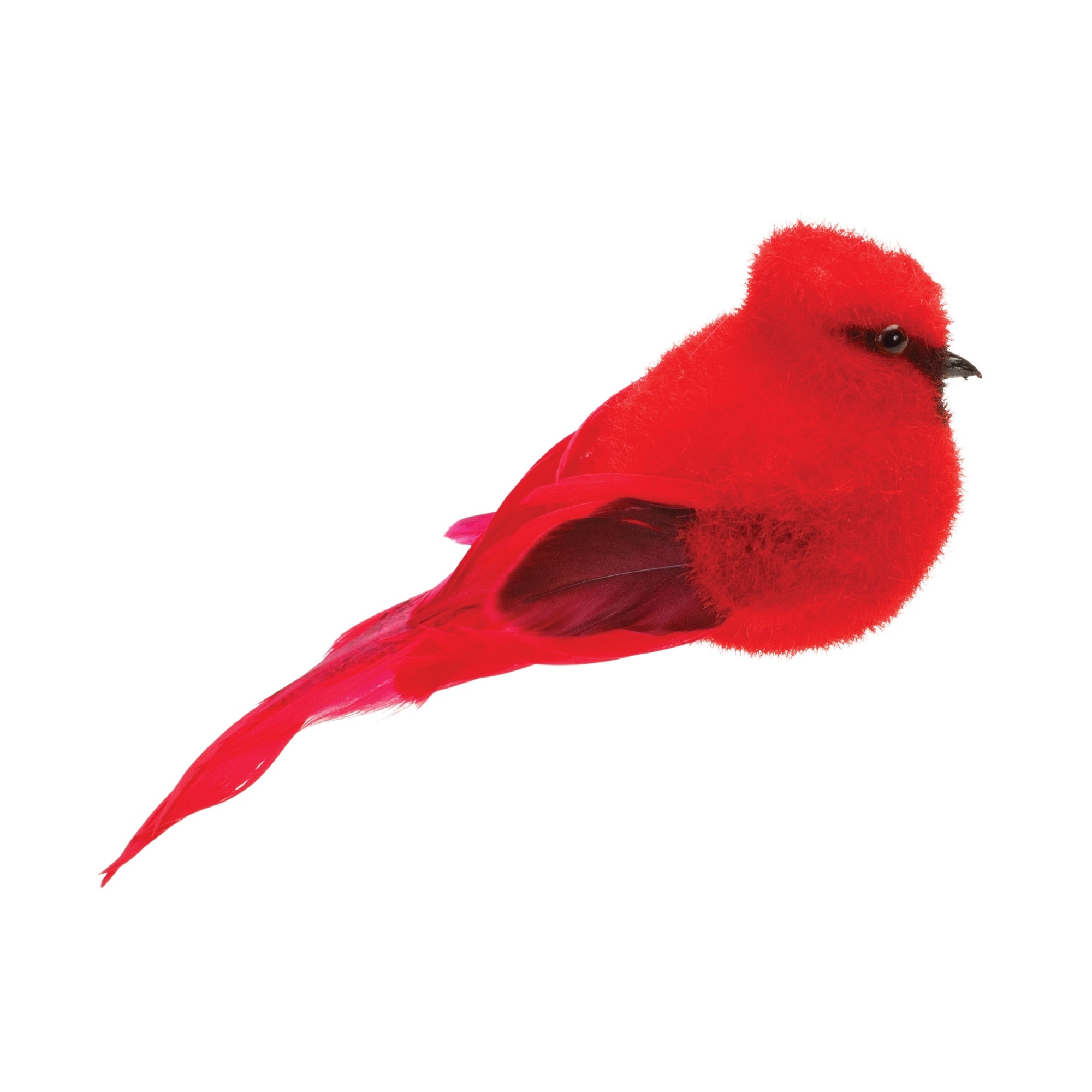 Cardinal 7"L x 3"H Foam/Feather
