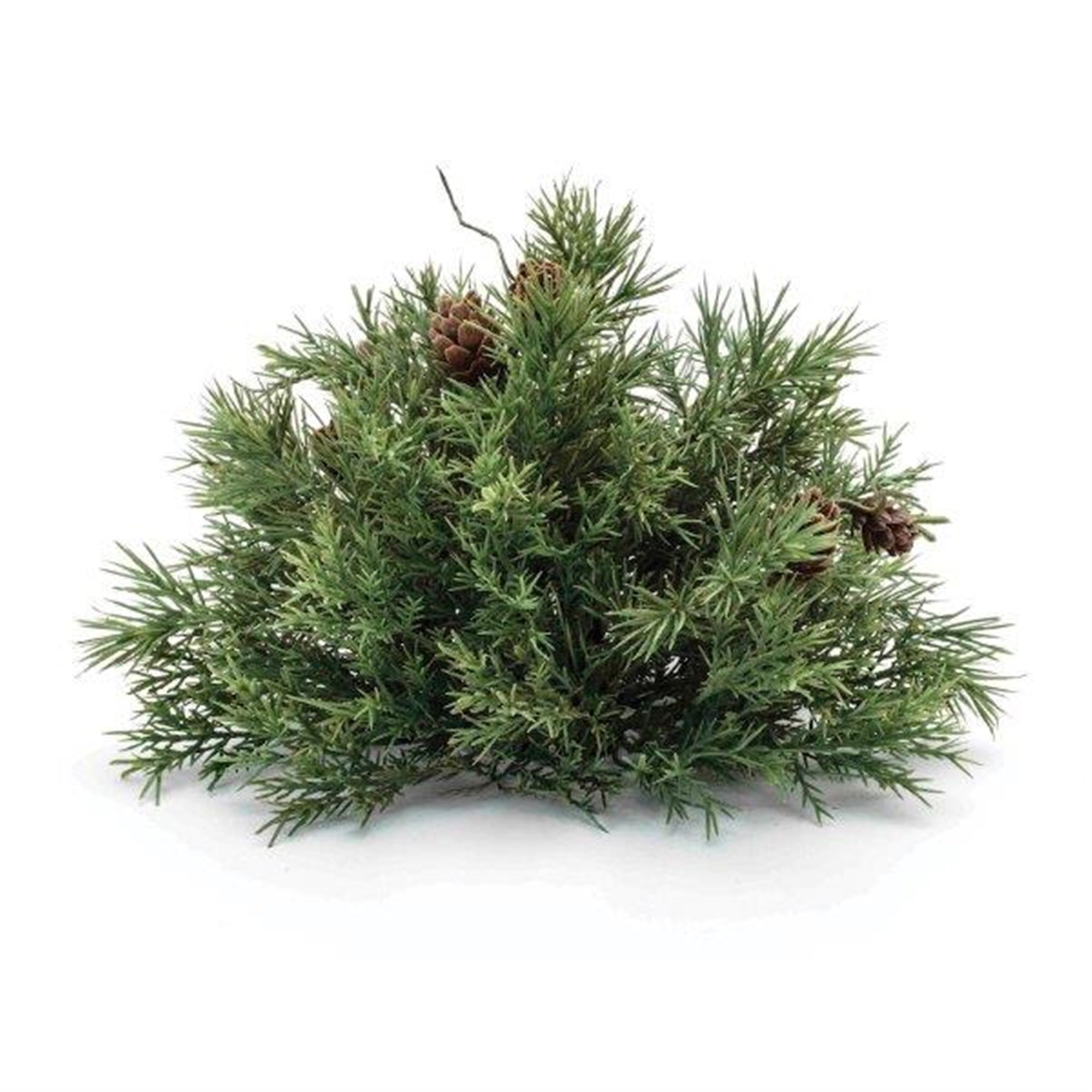 Mixed Pine Half Orb 8"D x 6"H