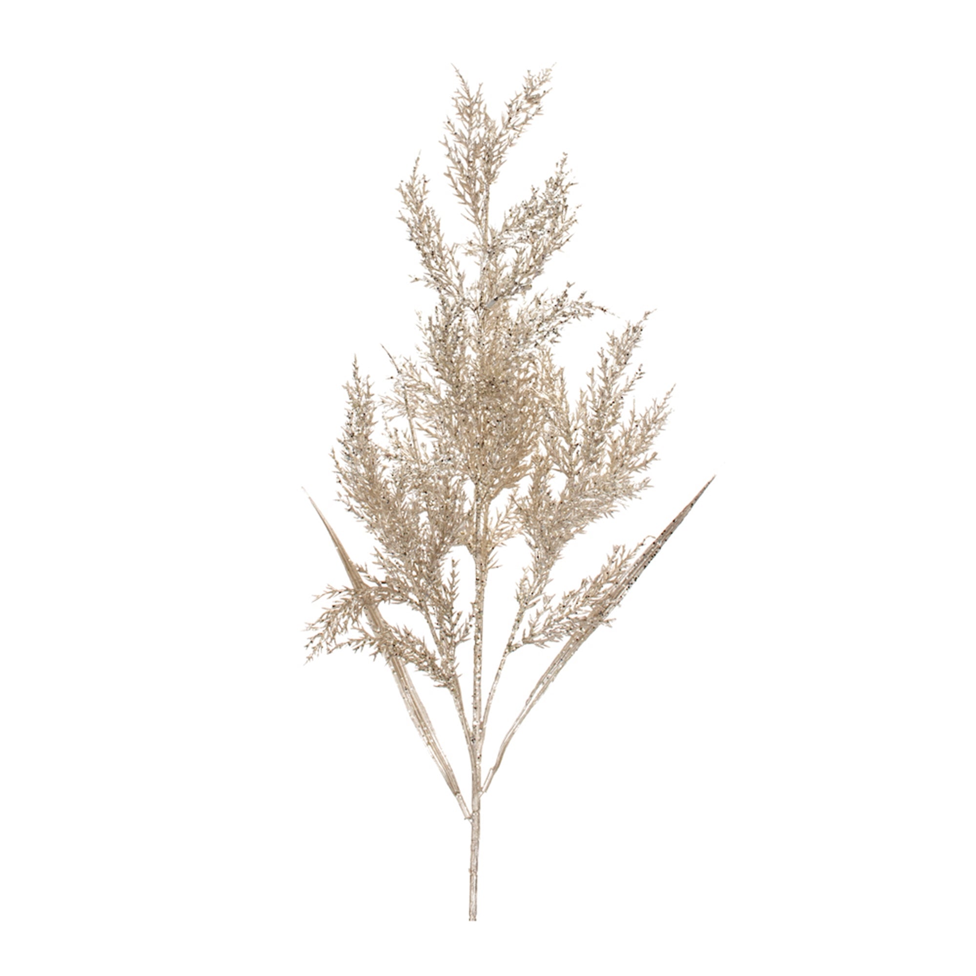 Cedar Spray 23”H