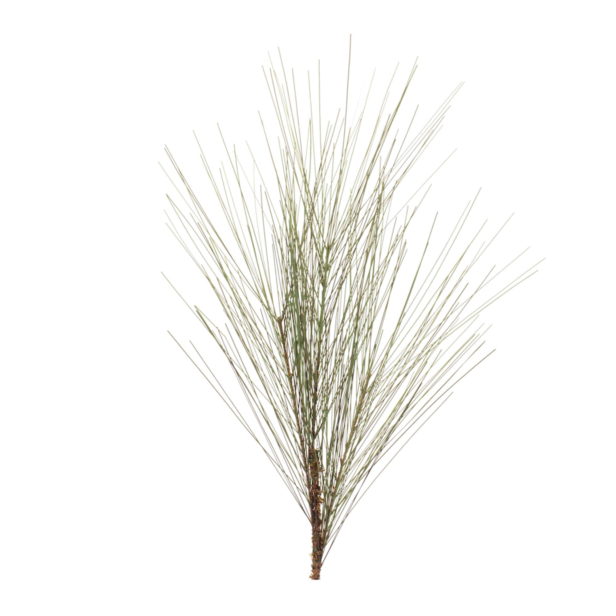 Pine Spray 20”H