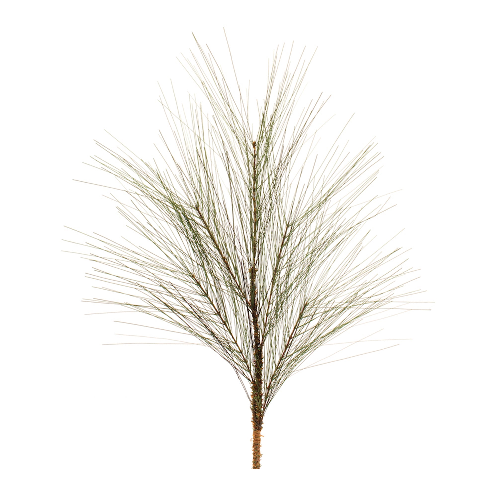 Pine Spray 30”H