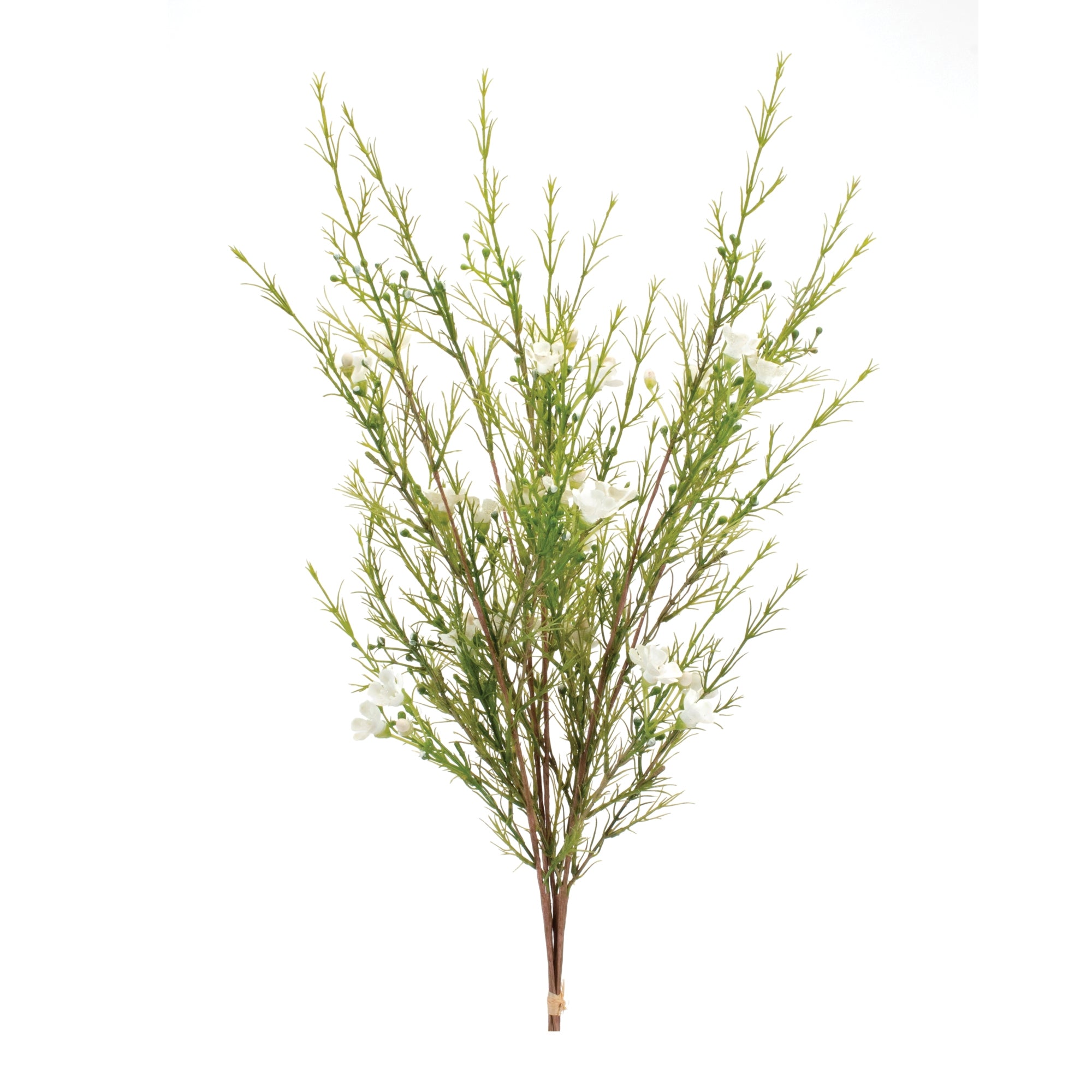 Wax Flower Bundle 23”H Polyester/