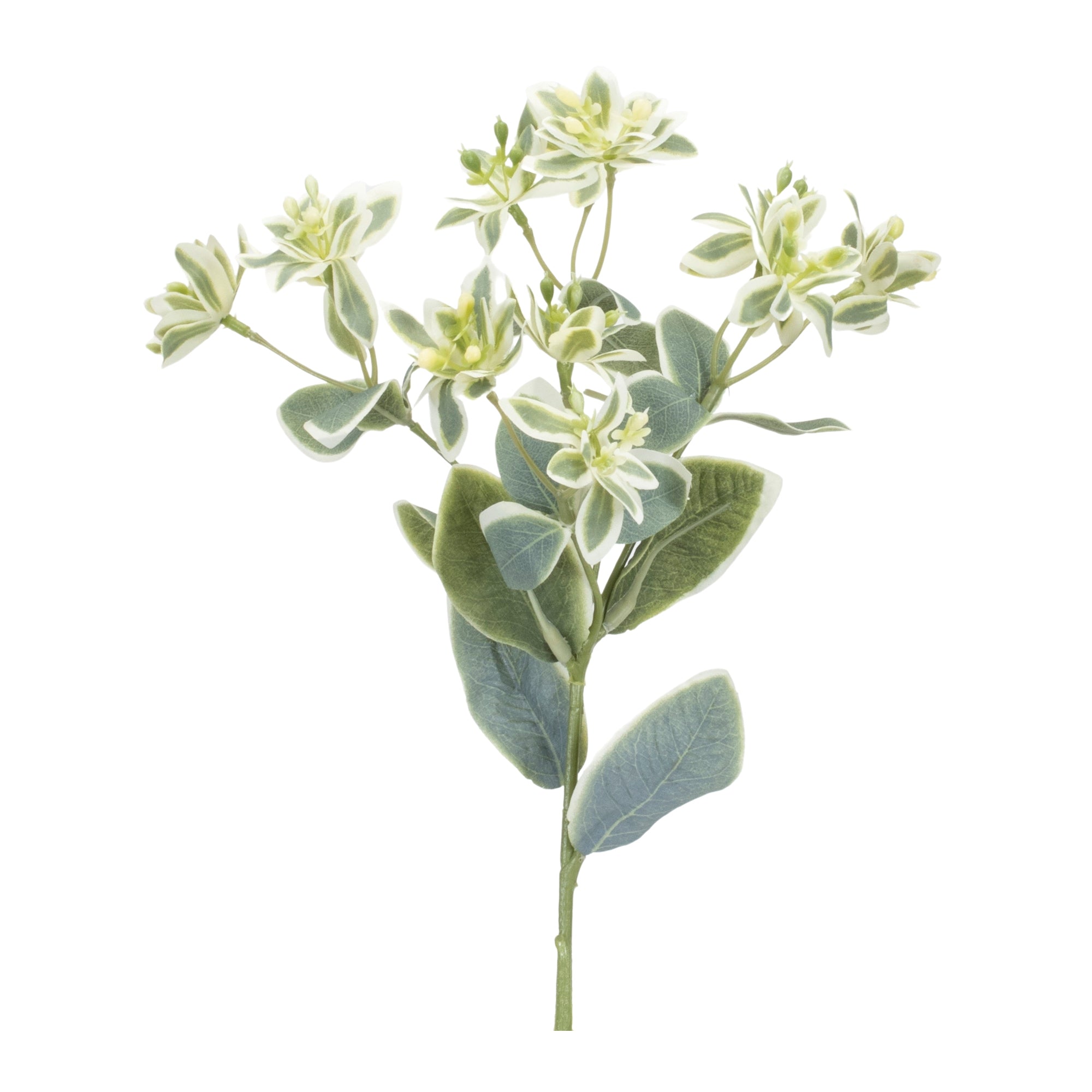 Euphorbia Spray 18.5”H Polyester