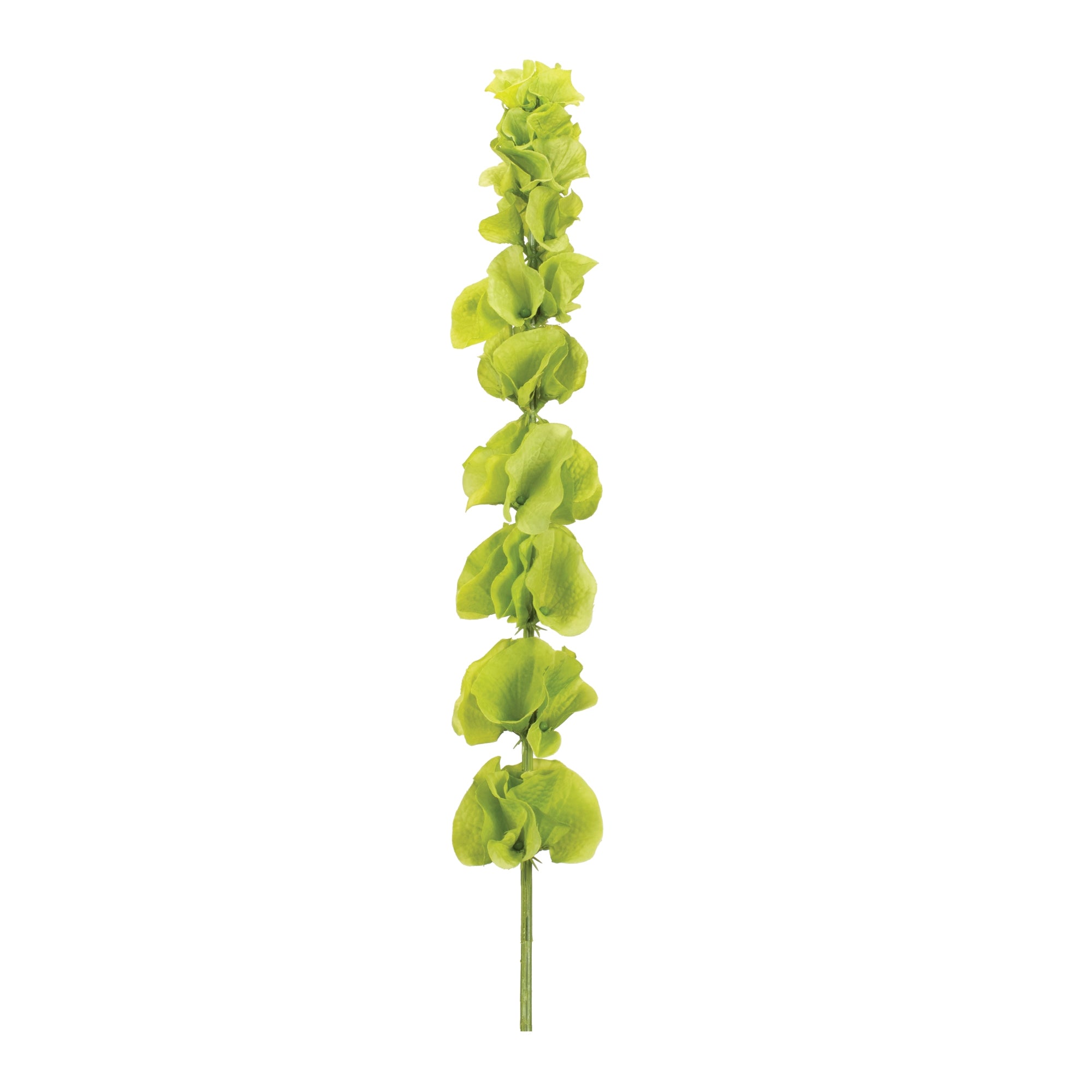 Bells of Ireland 30”H Polyester