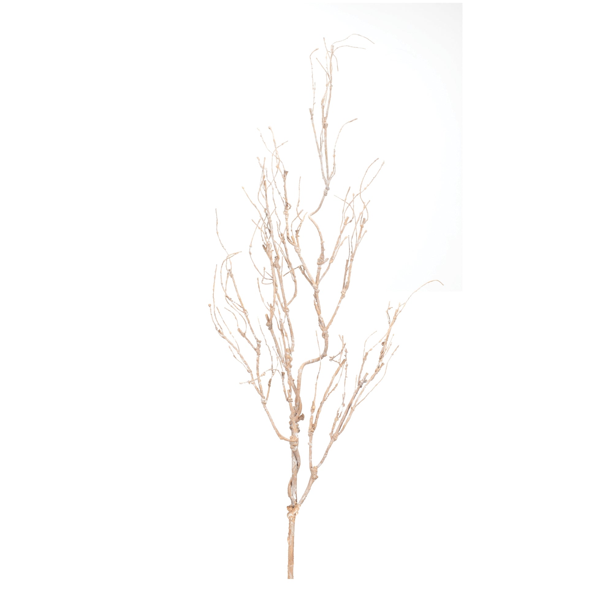 Branch 42.5”H Wire/Paper
