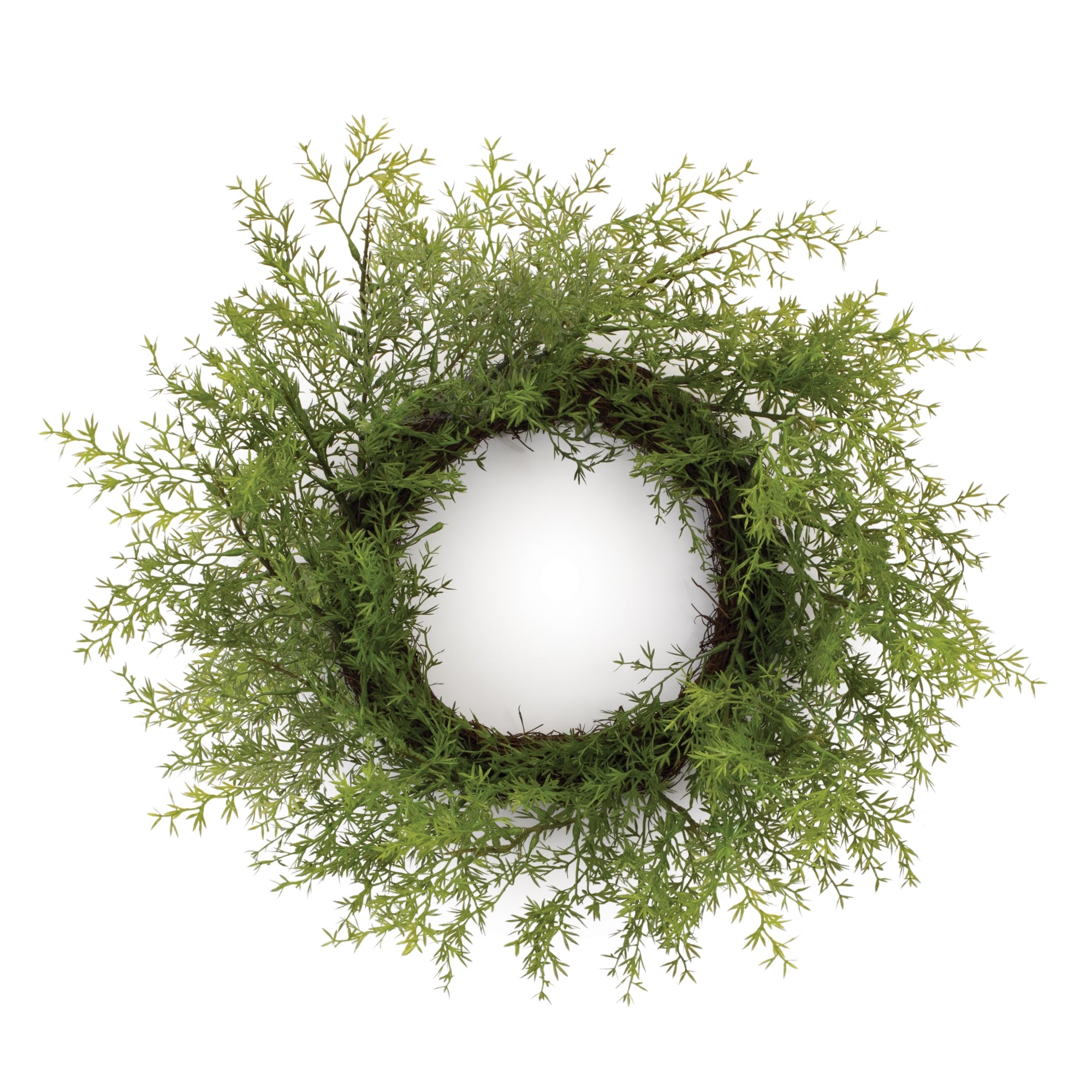 Asparagus Fern Wreath 24”D /Twig