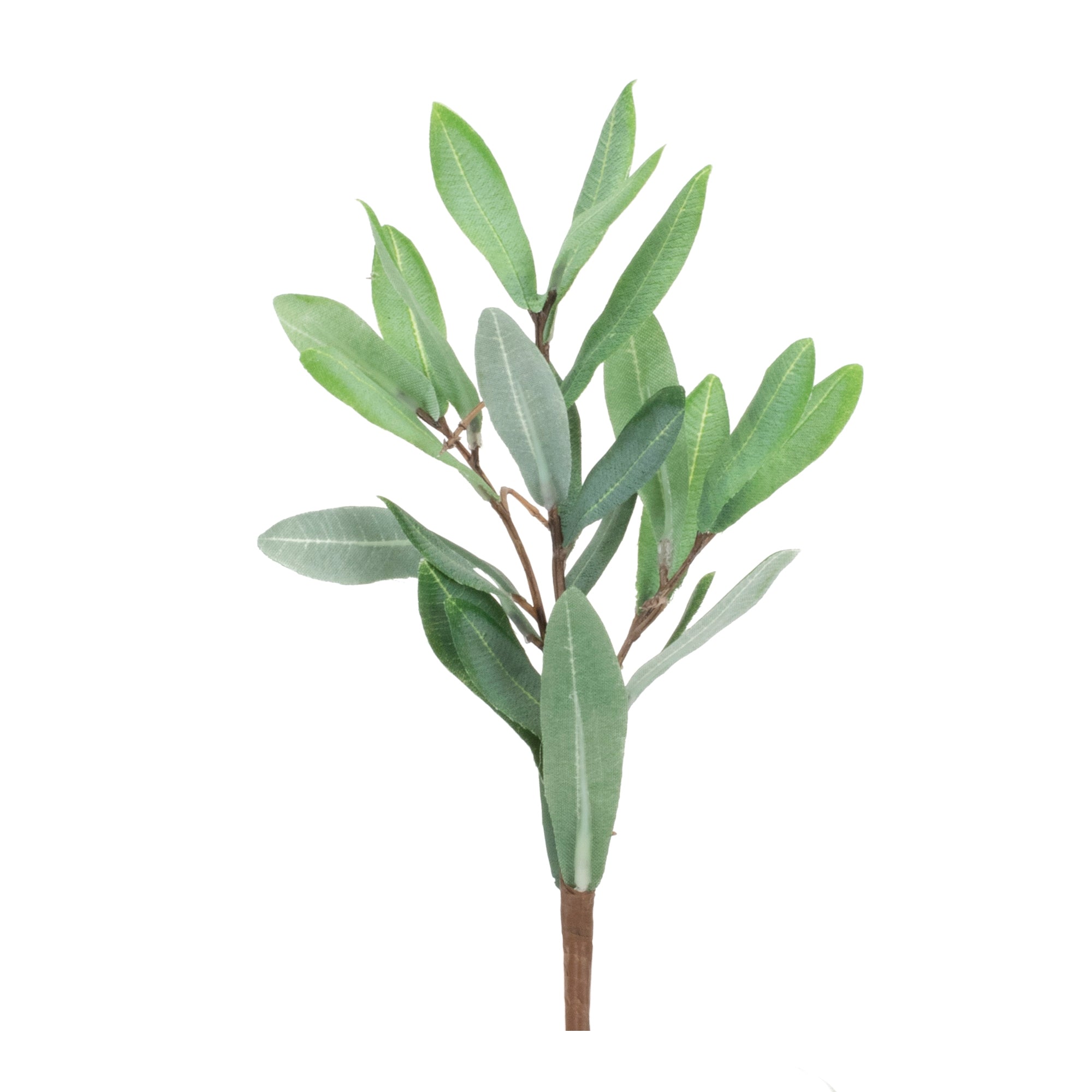 Olive Leaf Pick