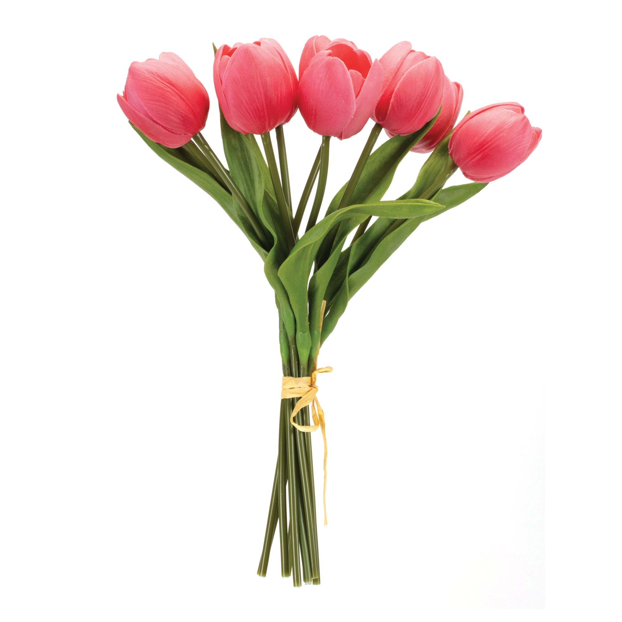 Tulip Bundle 14”H Polyester