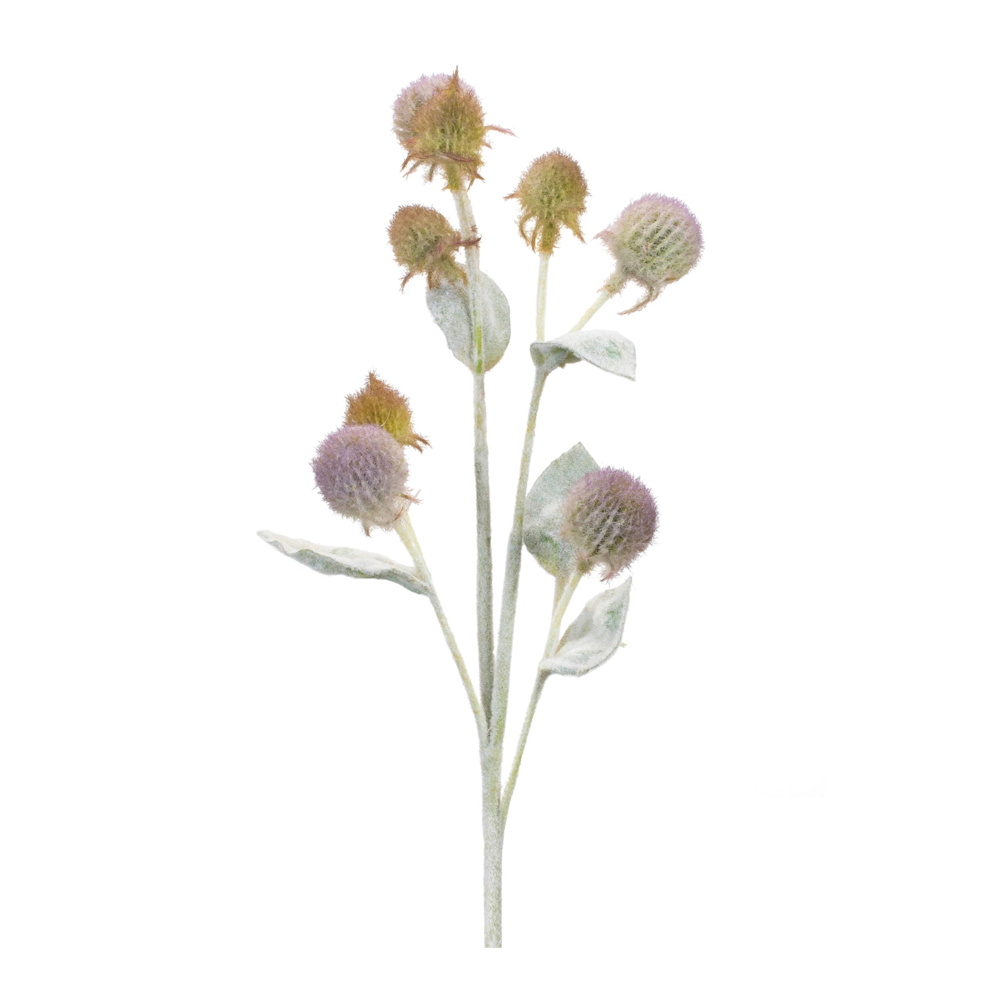 Thistle Spray 27.5”H