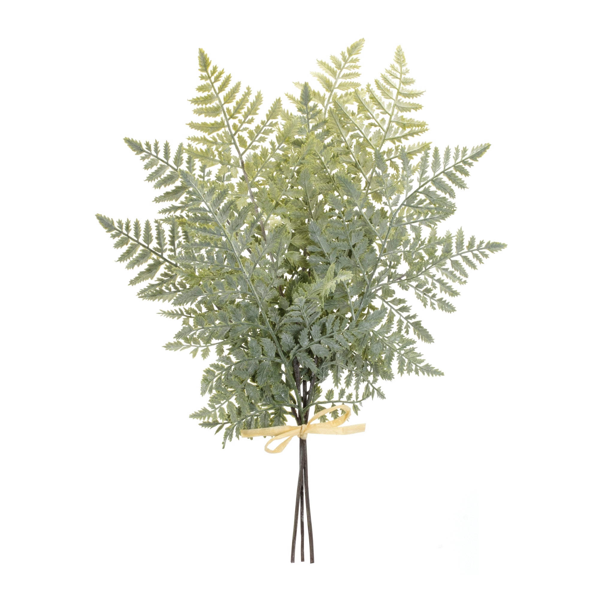 Fern Bundle 20”H