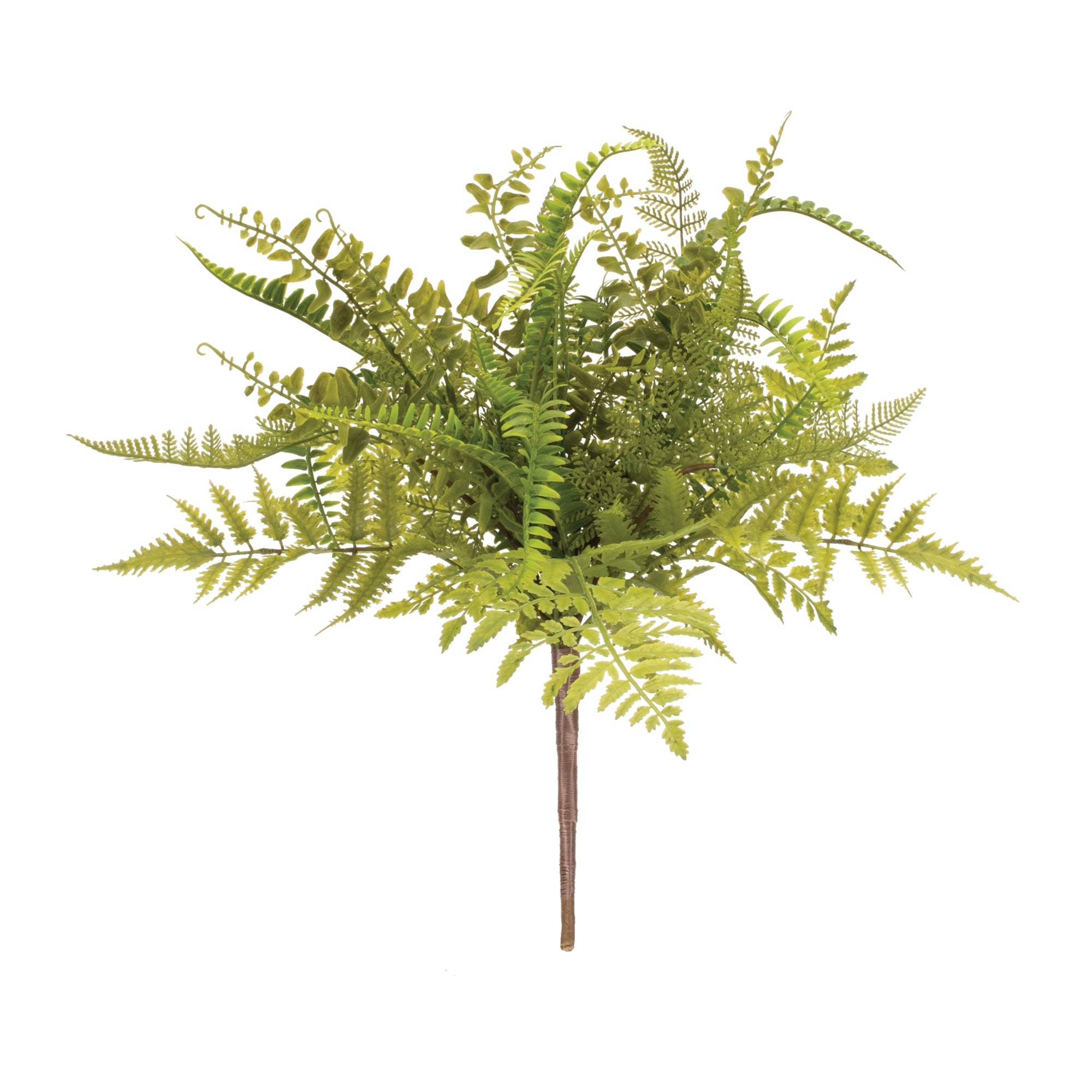 Mixed Fern Bush 19”H