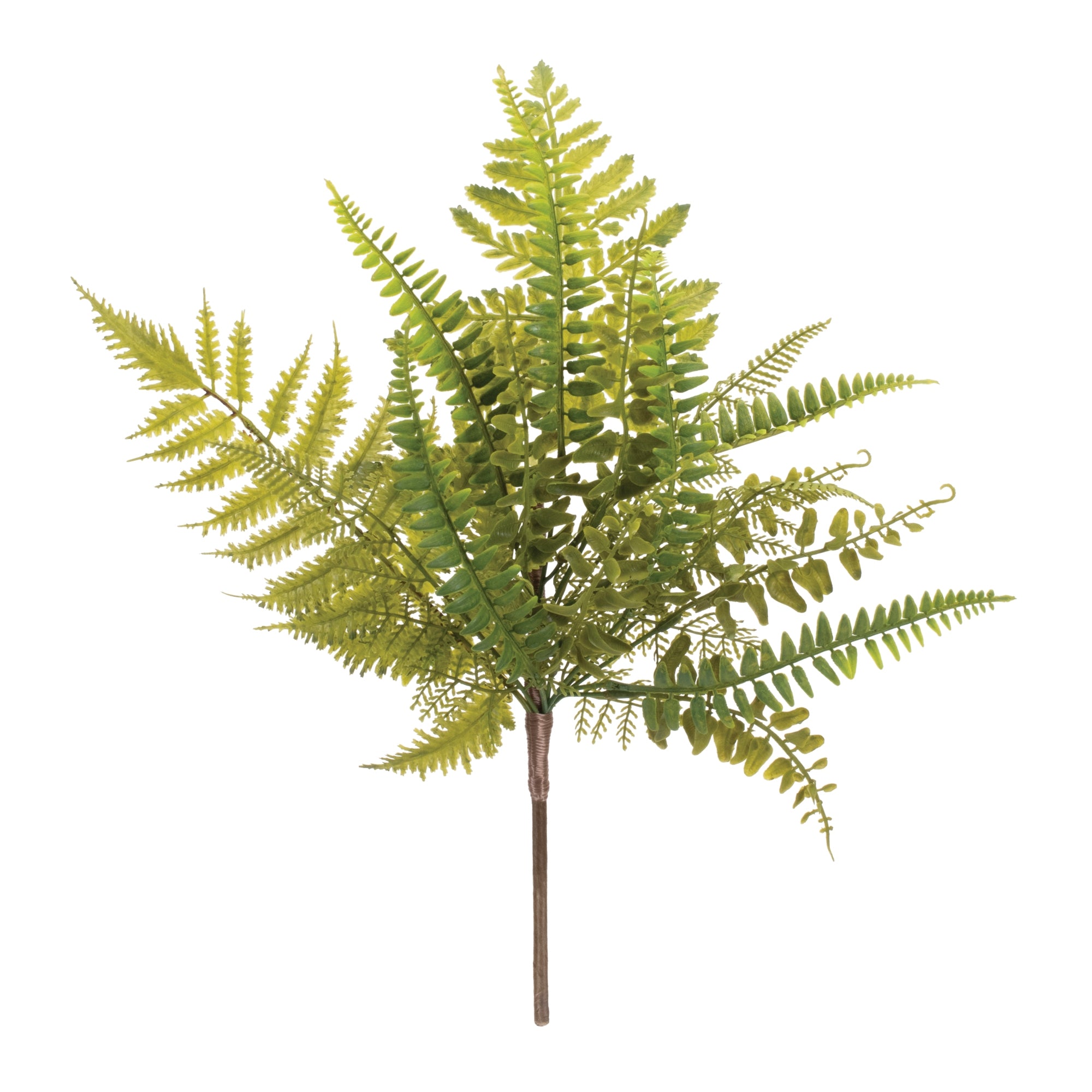 Mixed Fern Spray 16.5”H
