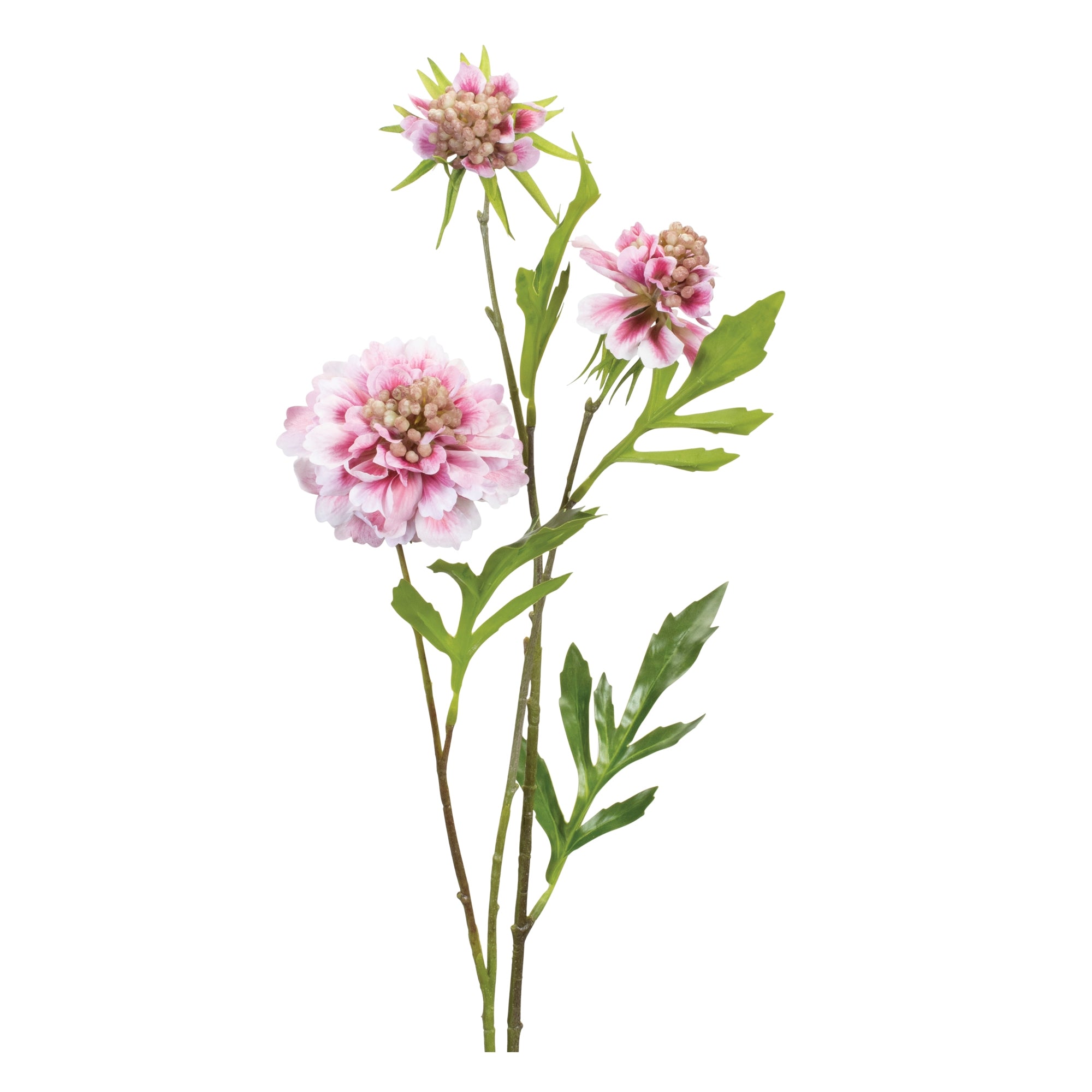 Scabiosa Stem 24.5”H Polyester