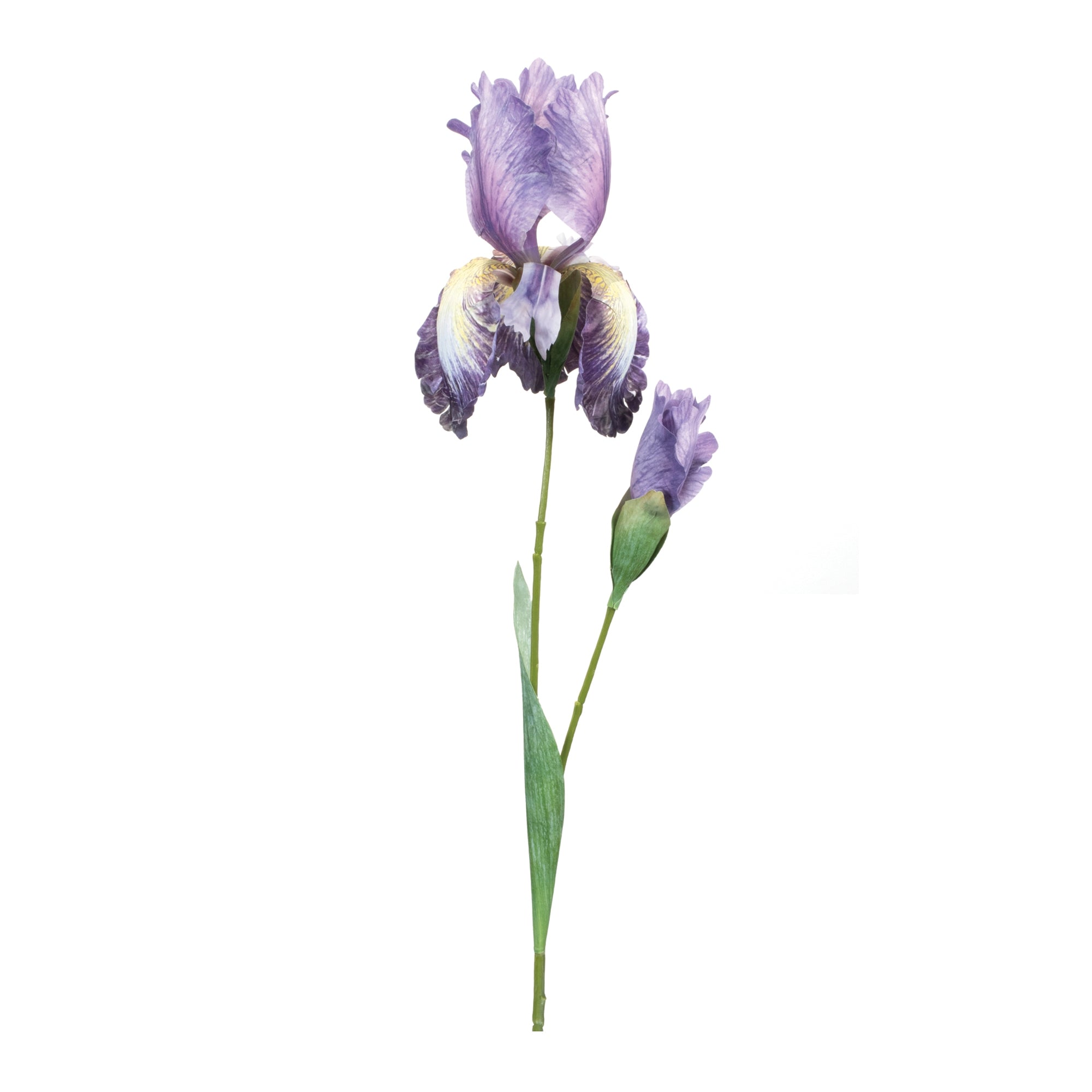 Iris Spray 32.5”H Polyester