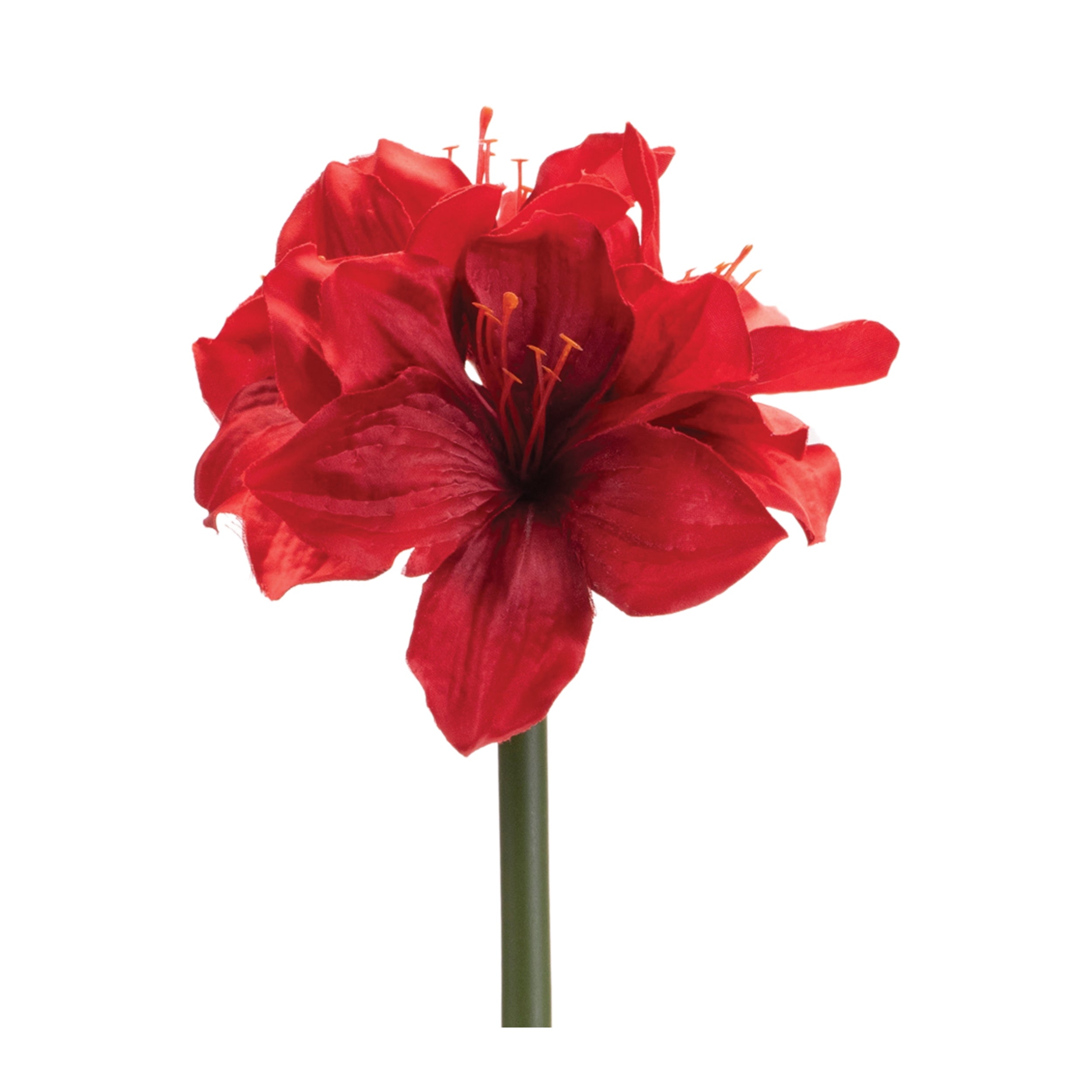 Amaryllis 17.5”H Polyester