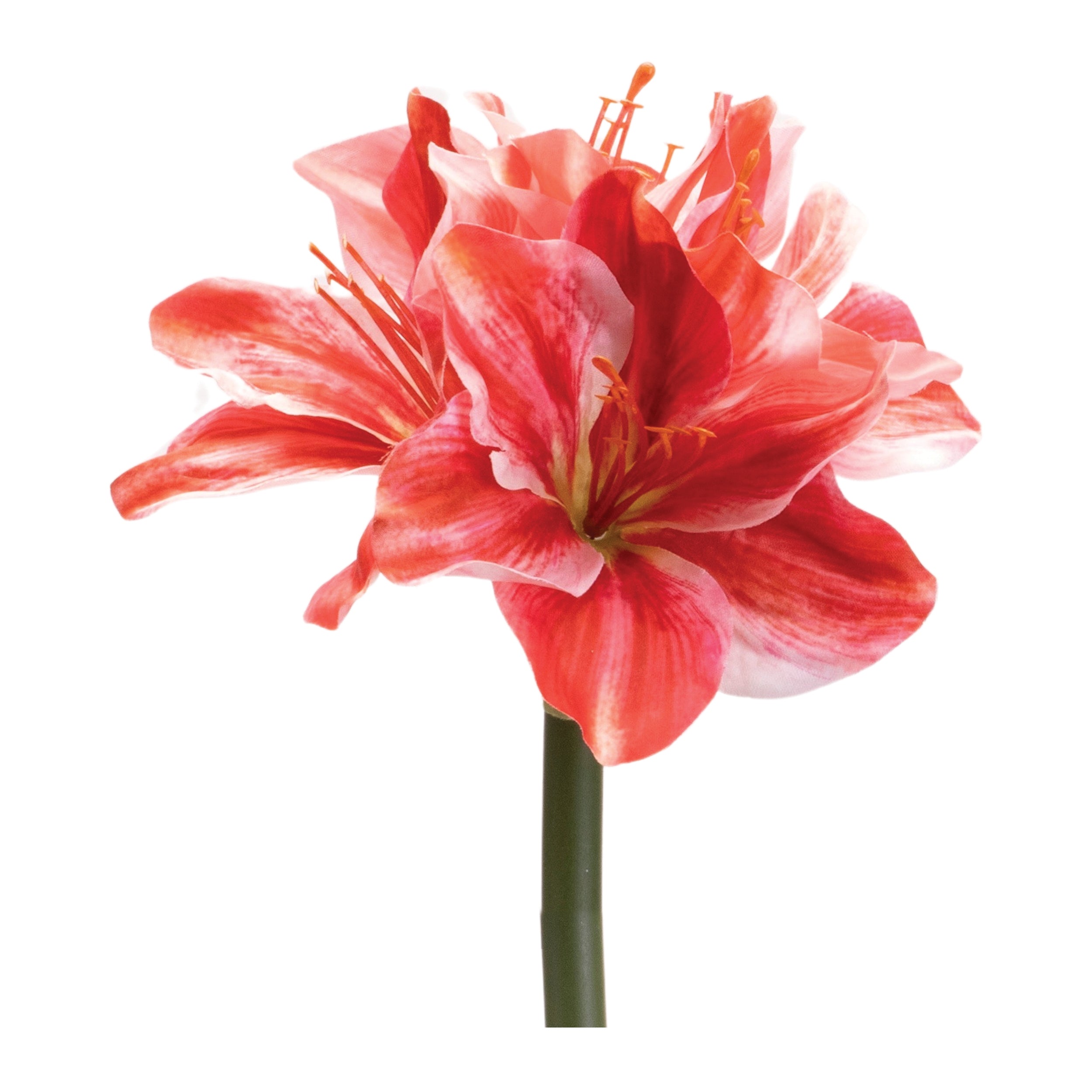 Amaryllis 17.5”H Polyester