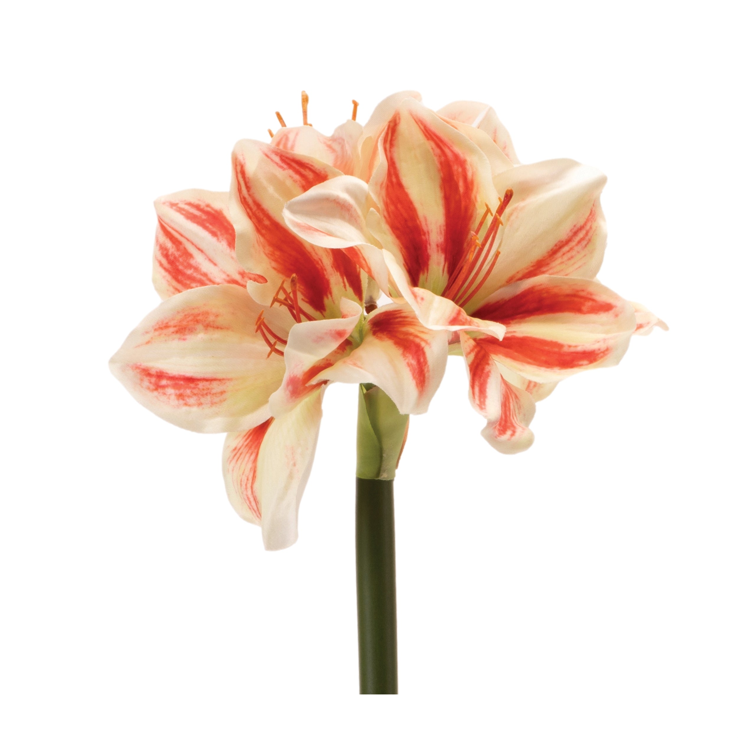 Amaryllis 17.5”H Polyester