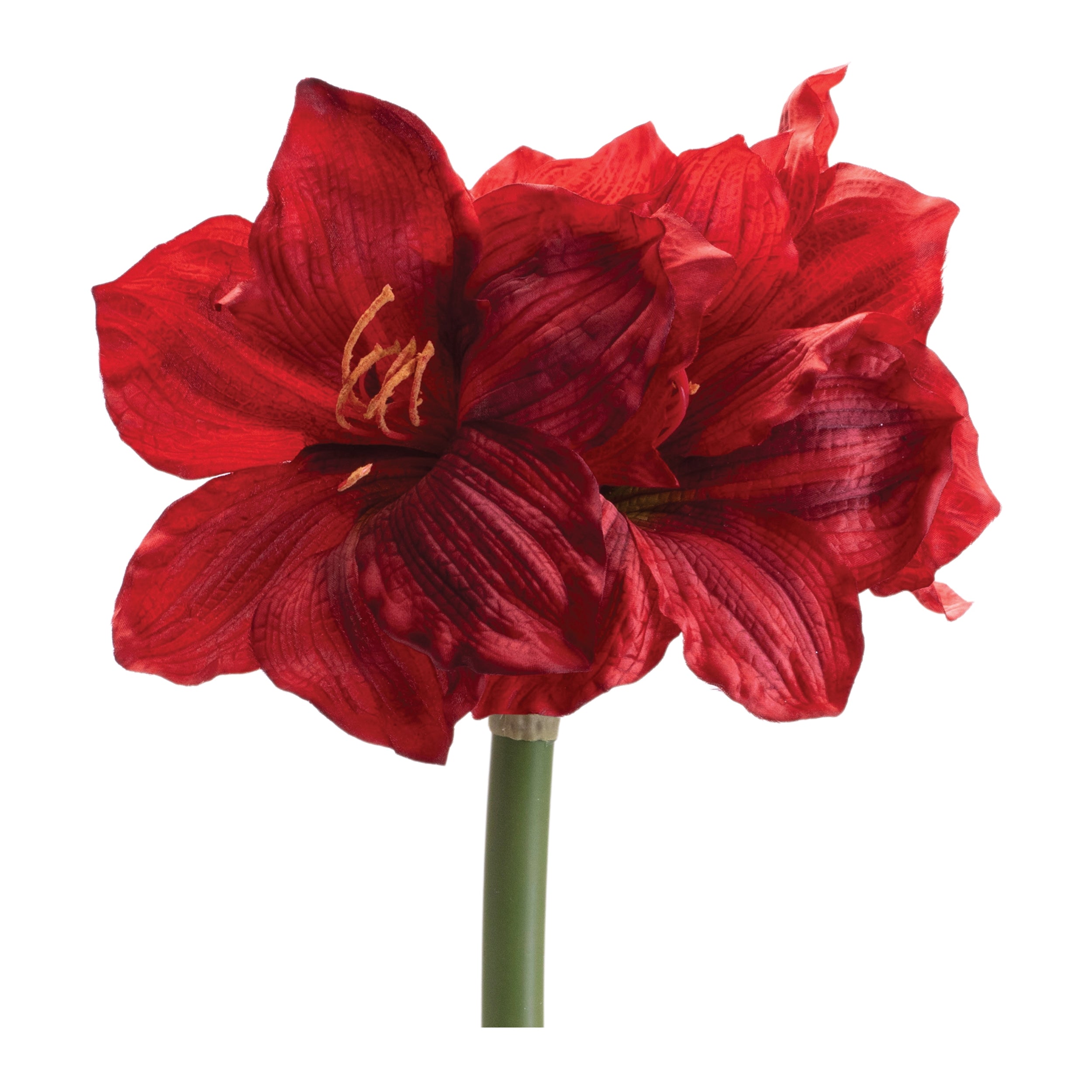 Amaryllis 28”H Polyester