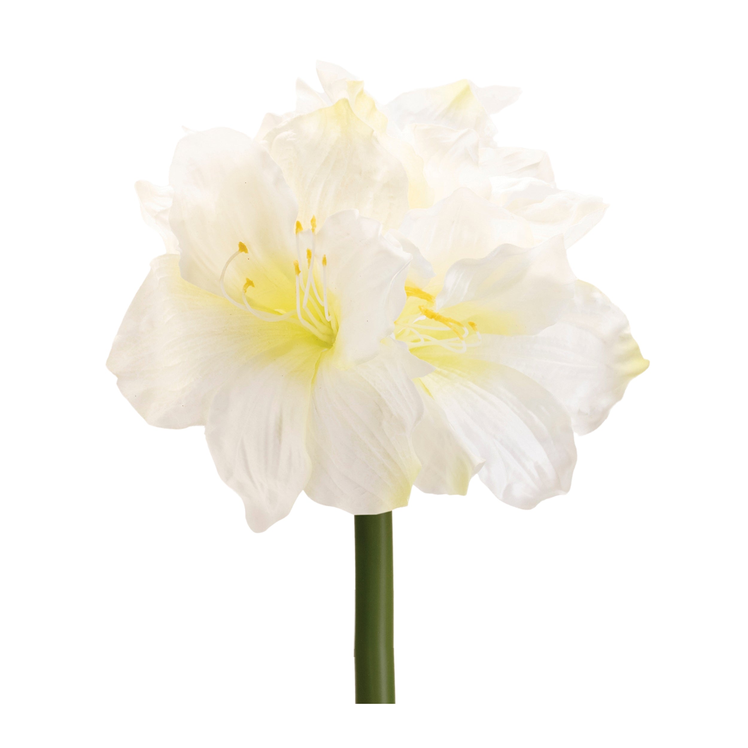 Amaryllis 28”H Polyester