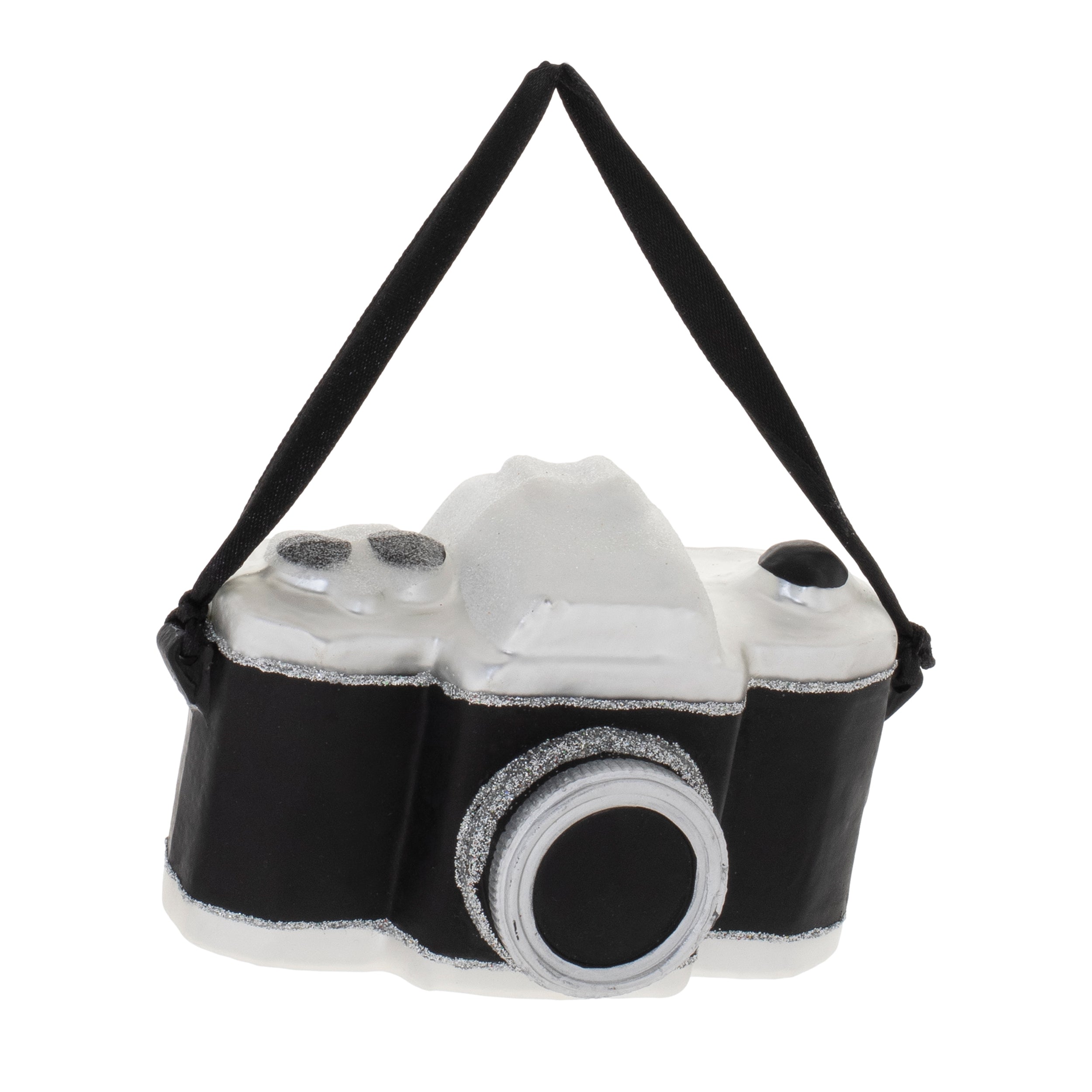 Camera Ornament 2.5”H Glass
