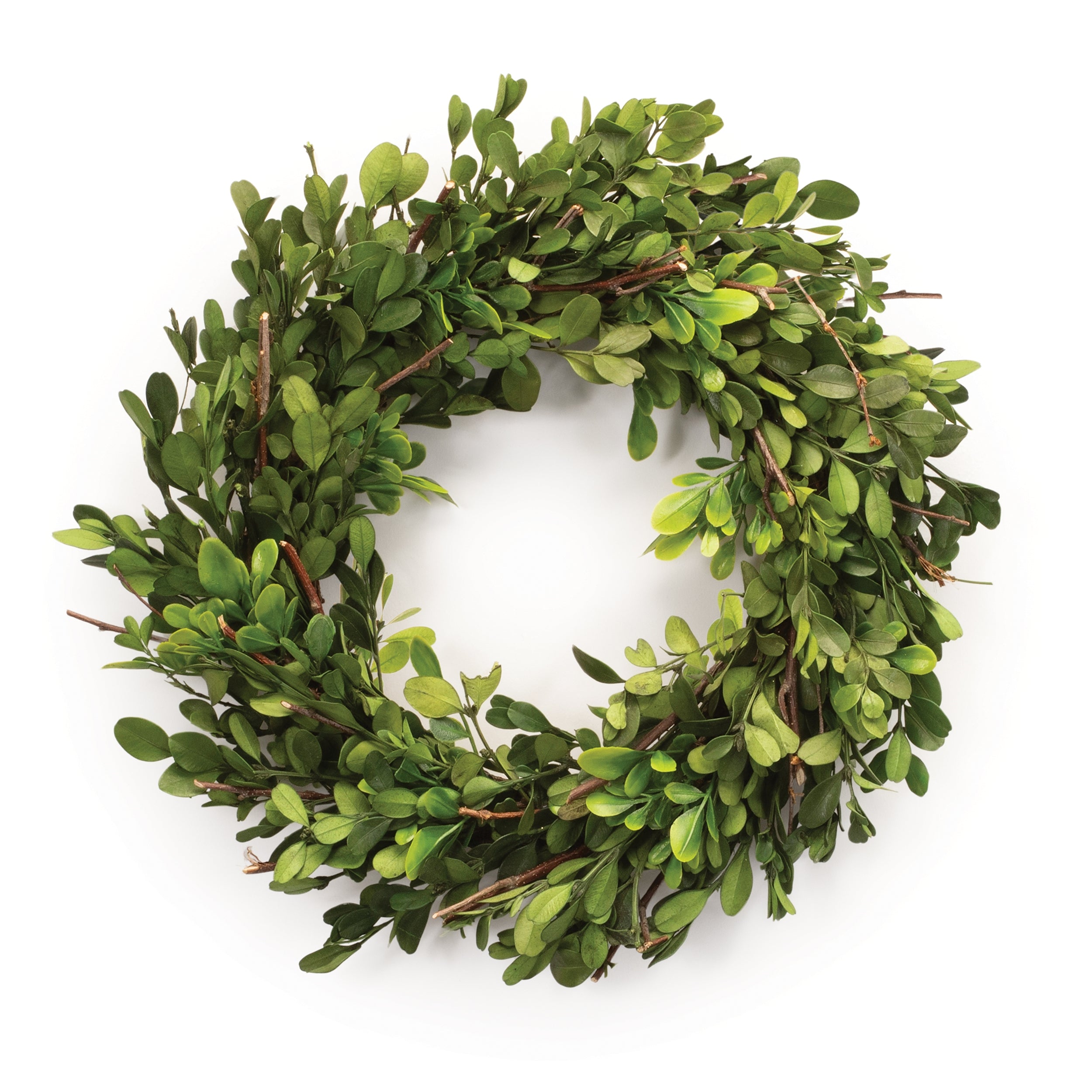 Boxwood Wreath 13.5”D Boxwood/Twig