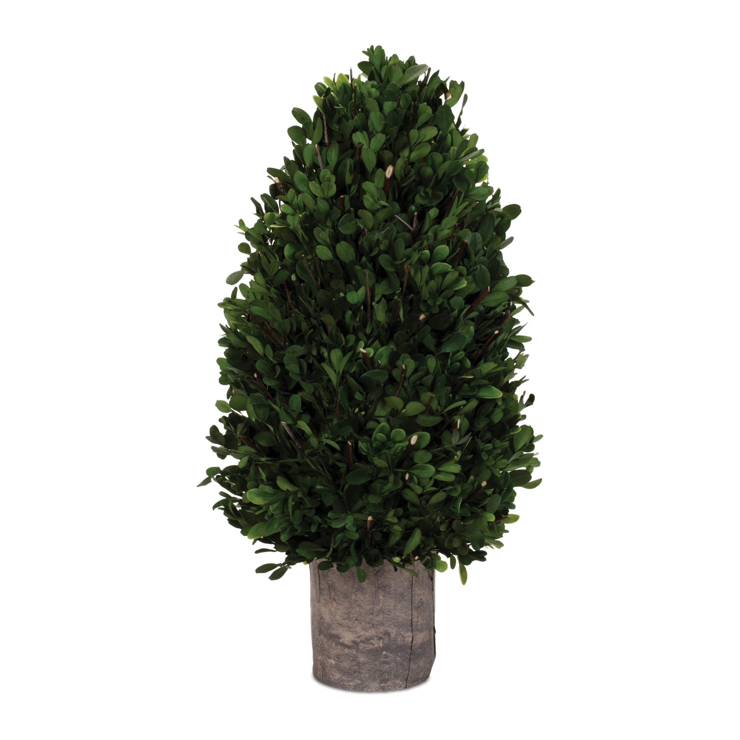 Boxwood Topiary 20”H Boxwood/Foam