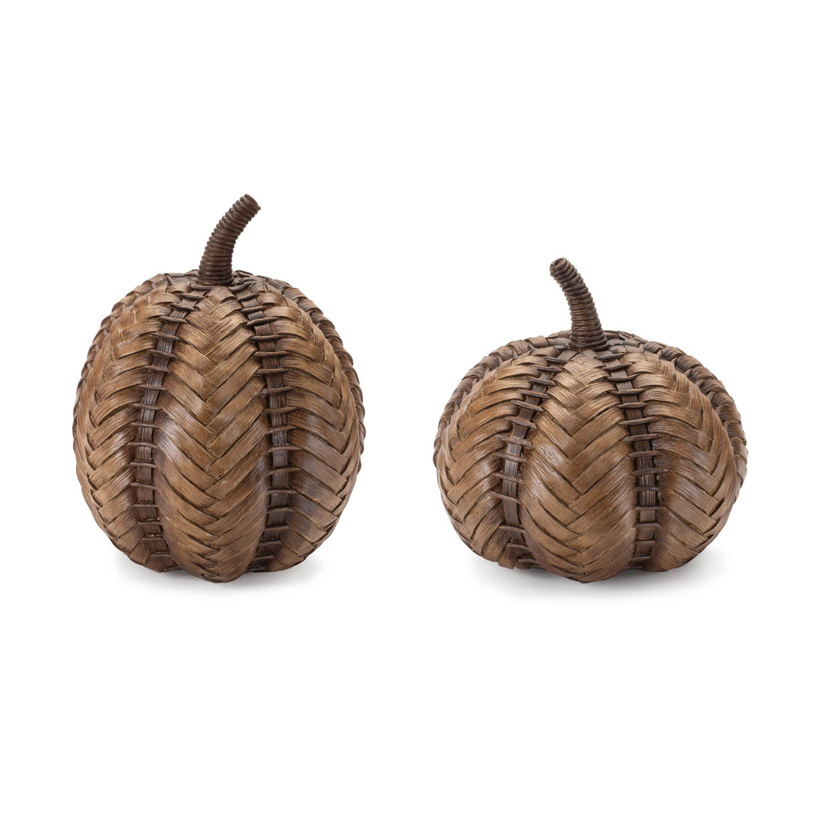 Rustic Pumpkin (S/2)
