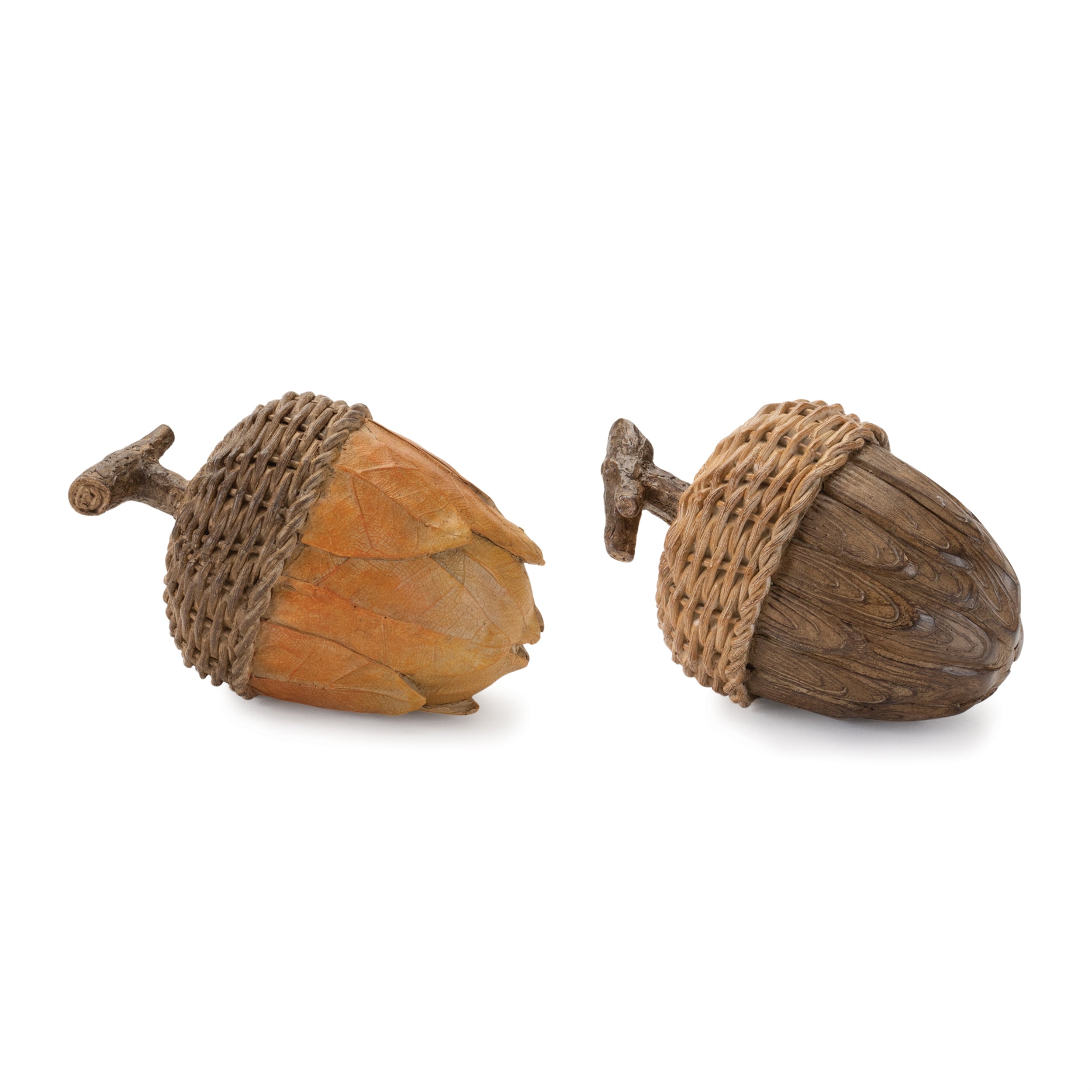 Acorn (2 Asst) 5"L x 3.5"H Resin