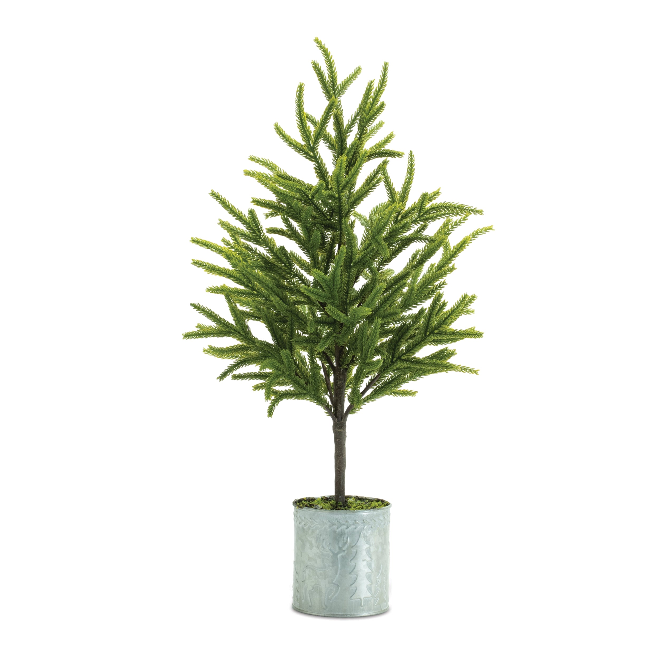 Potted Mini Tree 23”H