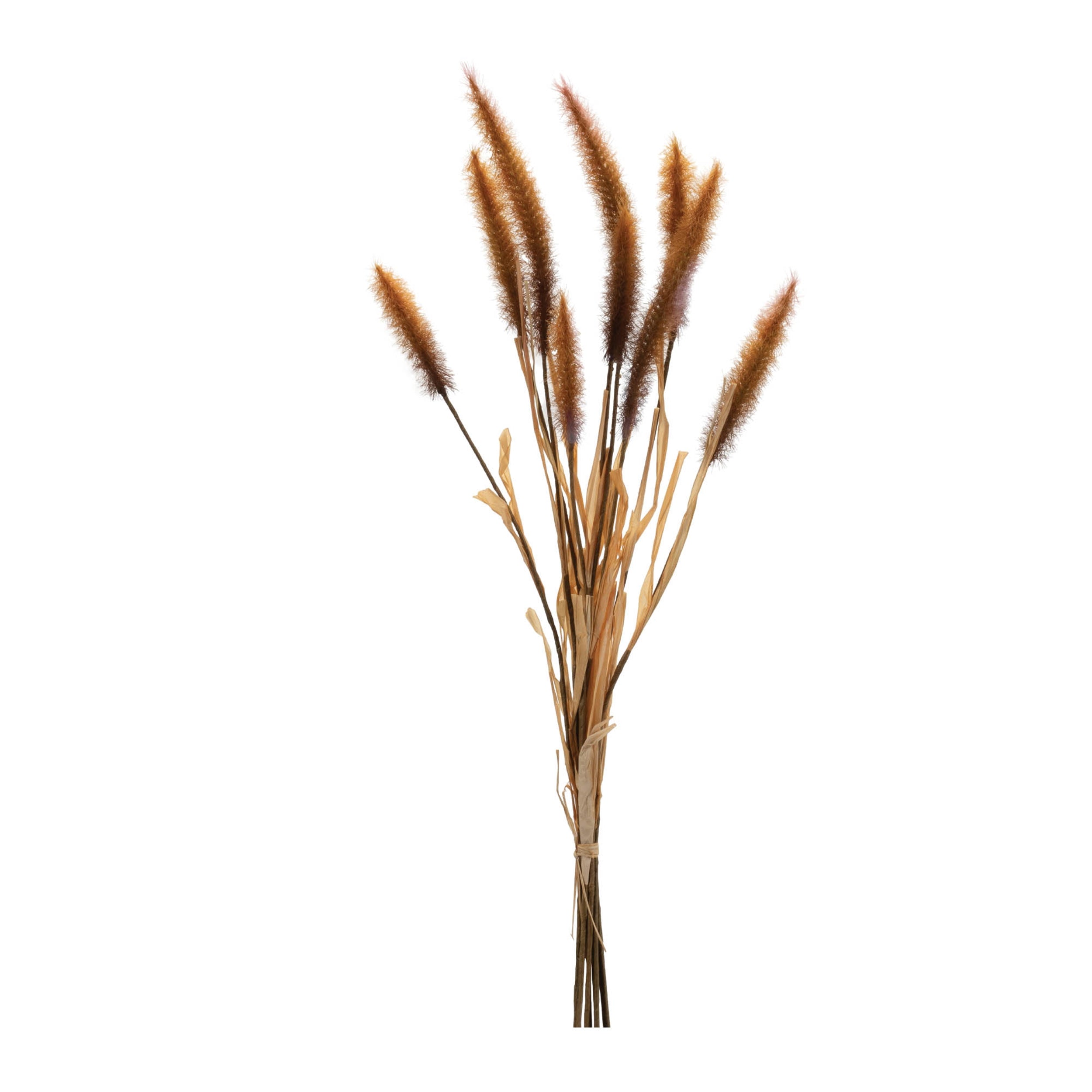 Foxtail Bundle (Set of 6) 23"H Plastic
