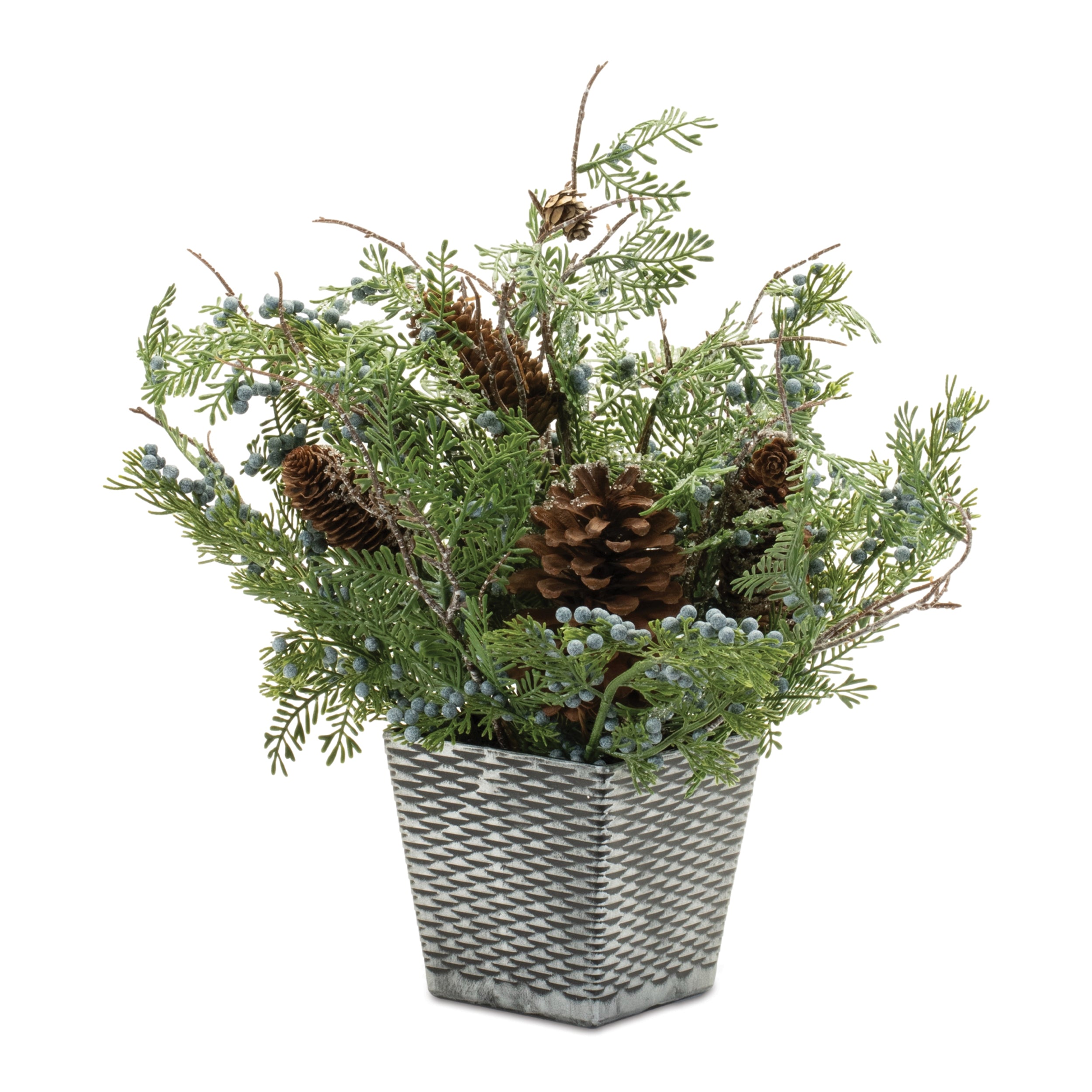 Mixed Juniper Arrangement 15”H