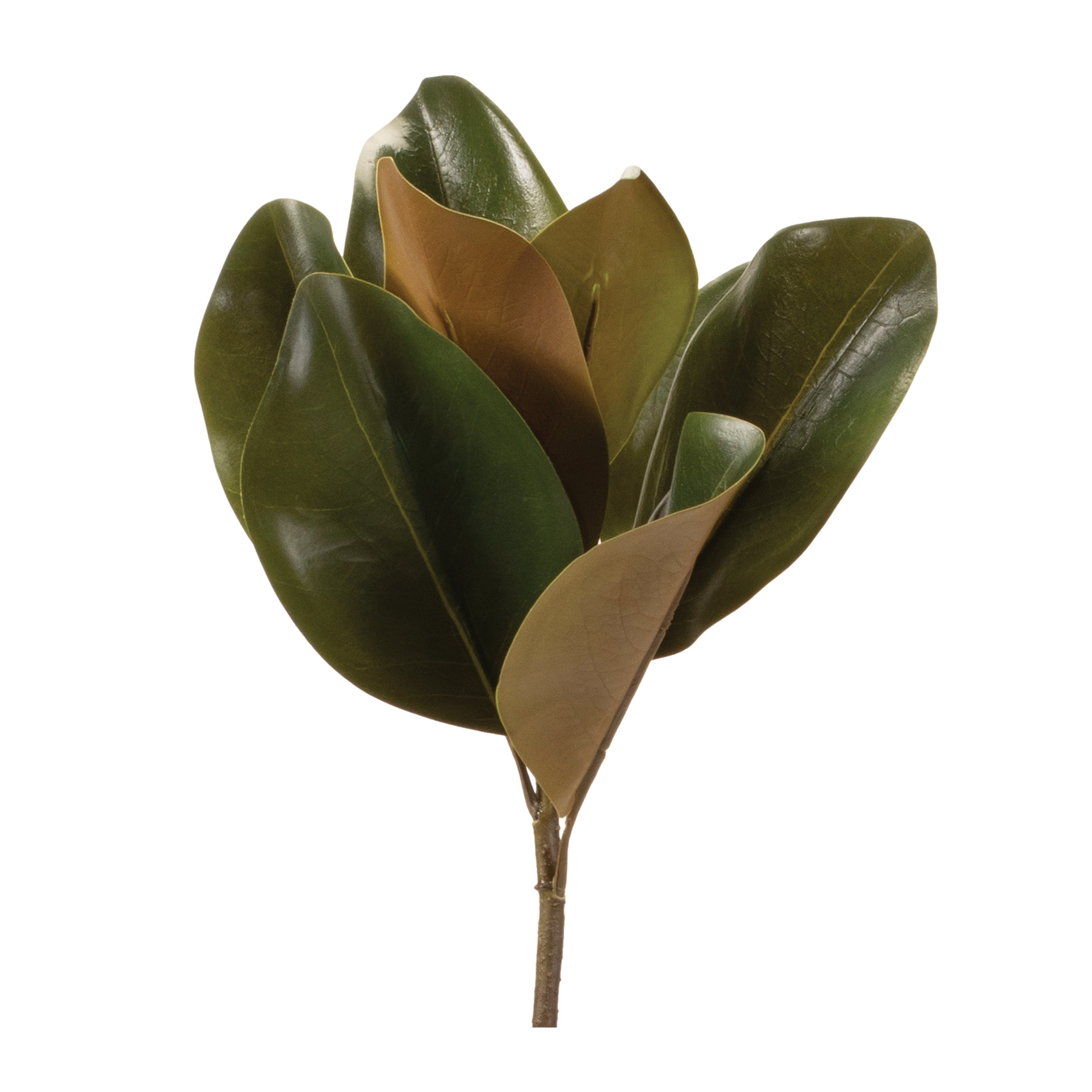 Magnolia Leaf Spray 23.5”H Polyester