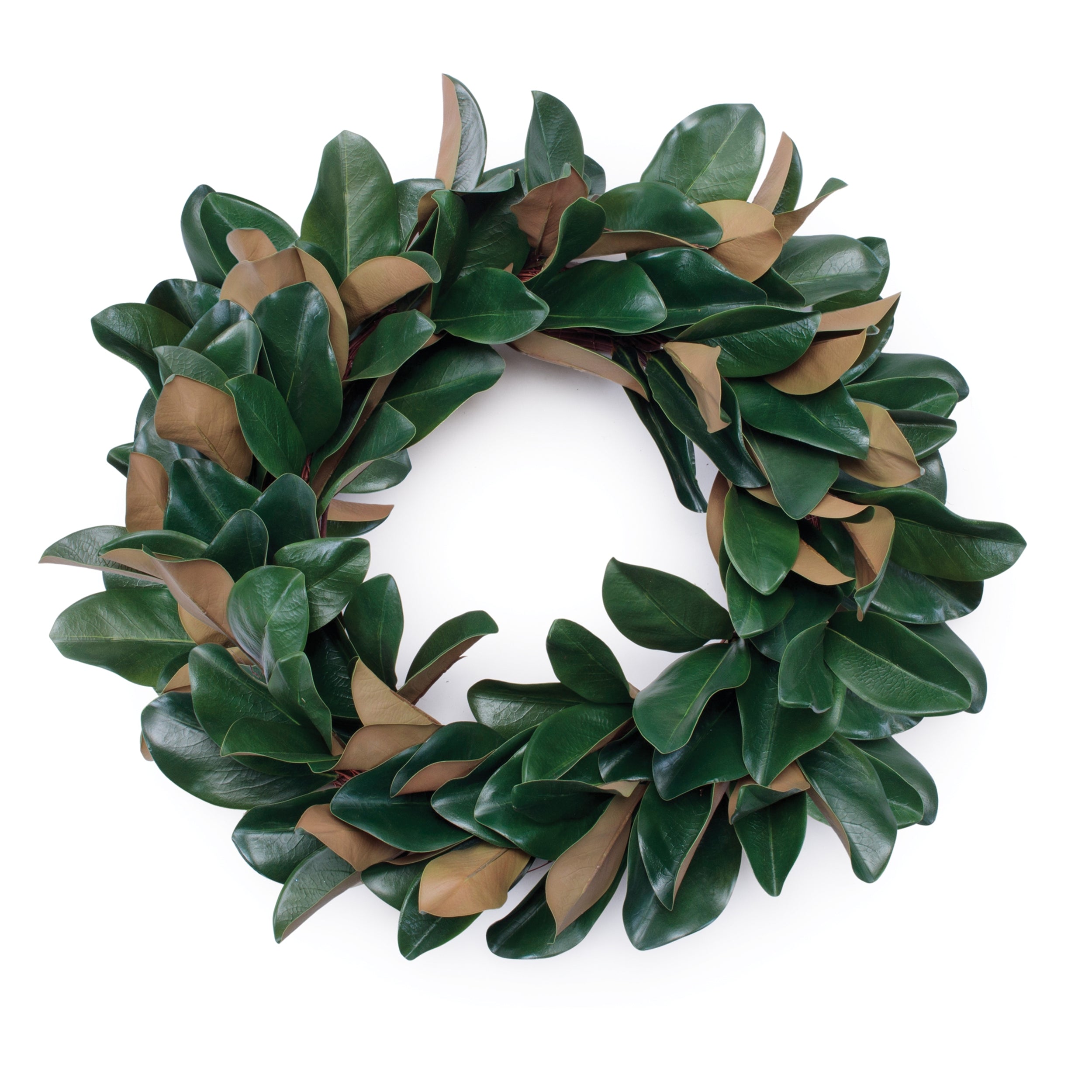 Magnolia Leaf Wreath 24”D Polyester