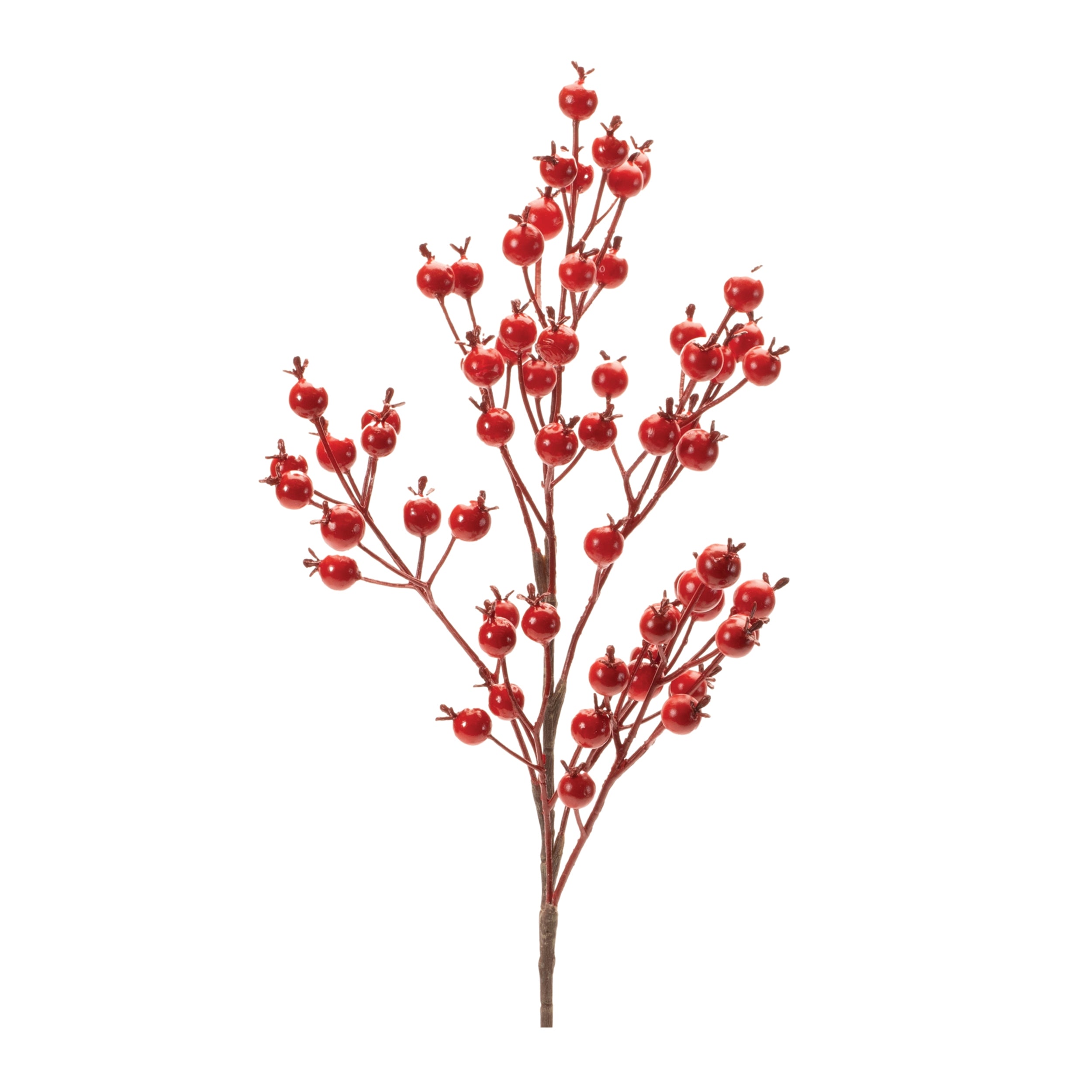 Berry Spray 23.5”H Foam/