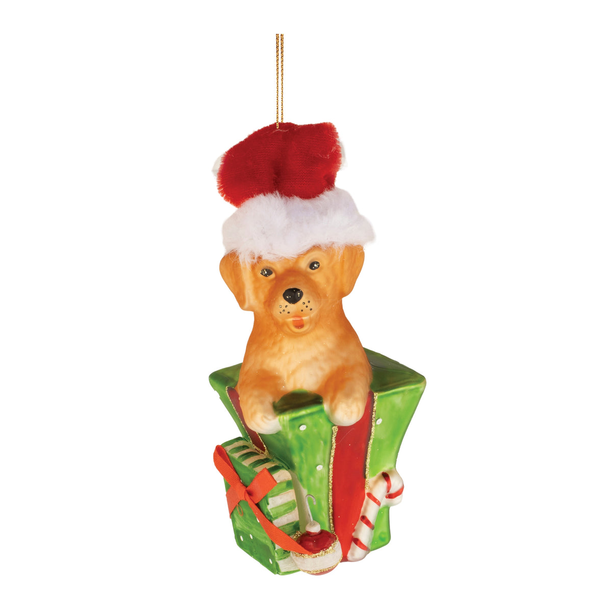 Puppy in Package Ornament (Set of 6)