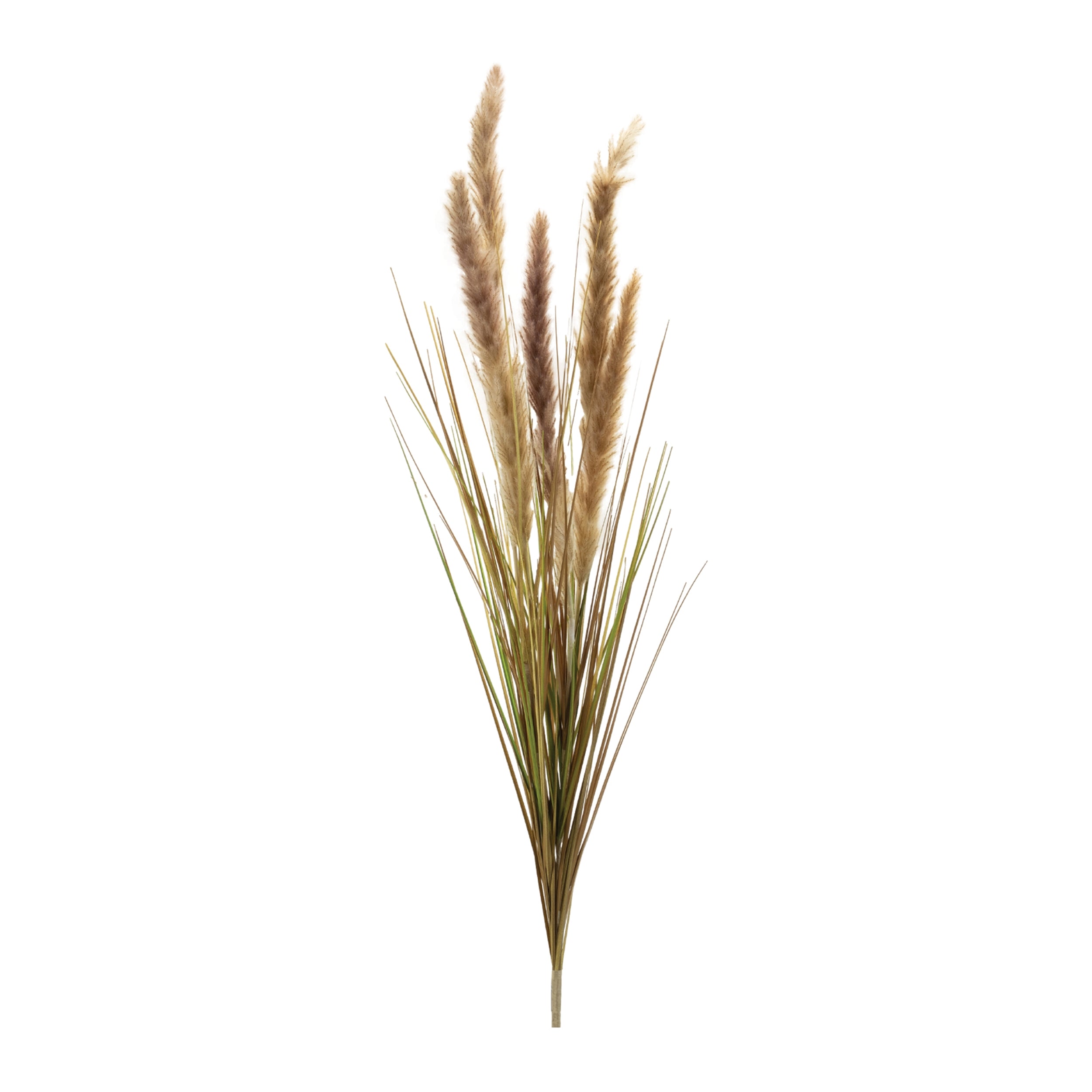 Foxtail Bush 40”H