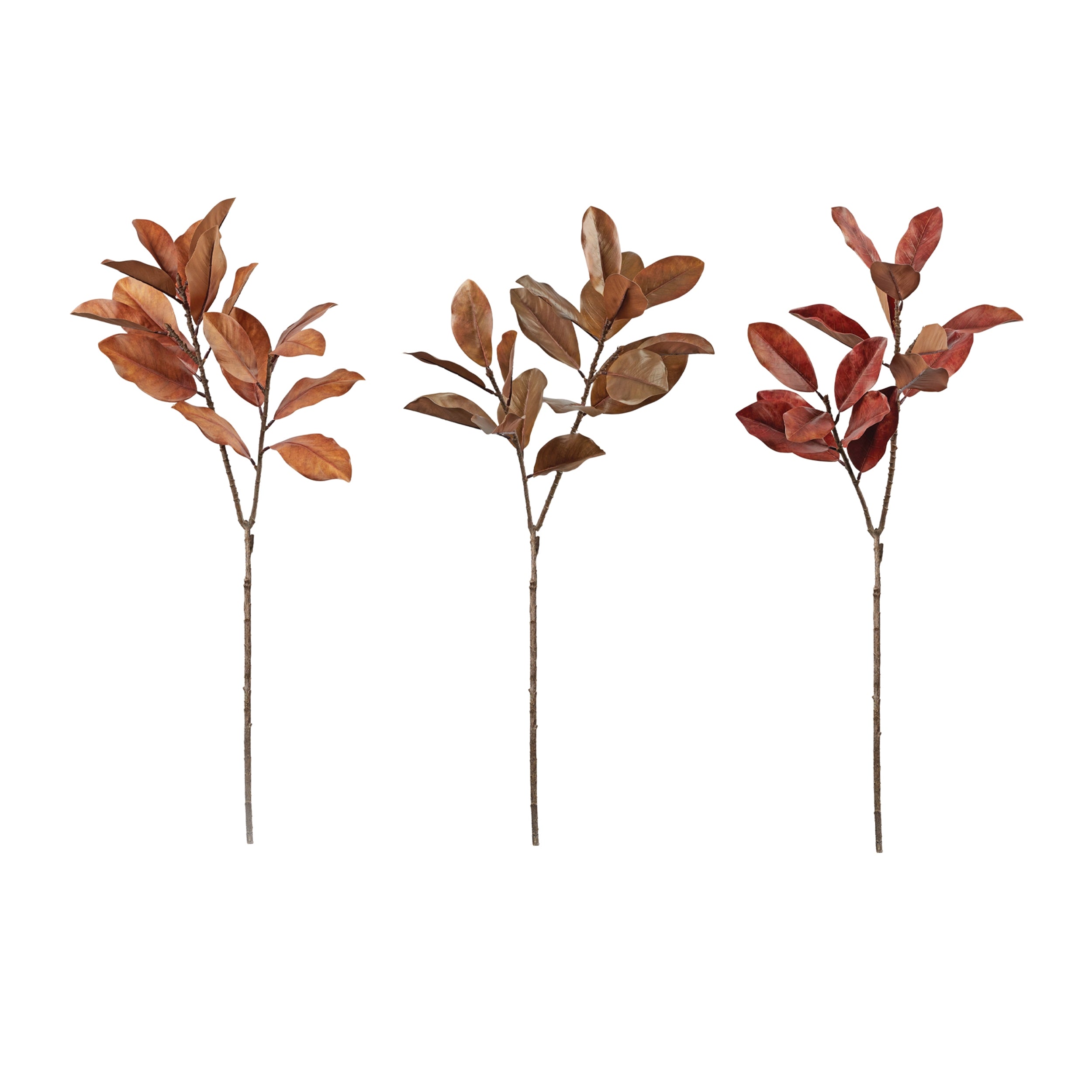 Magnolia Leaf Spray (3 Asst) 45”H