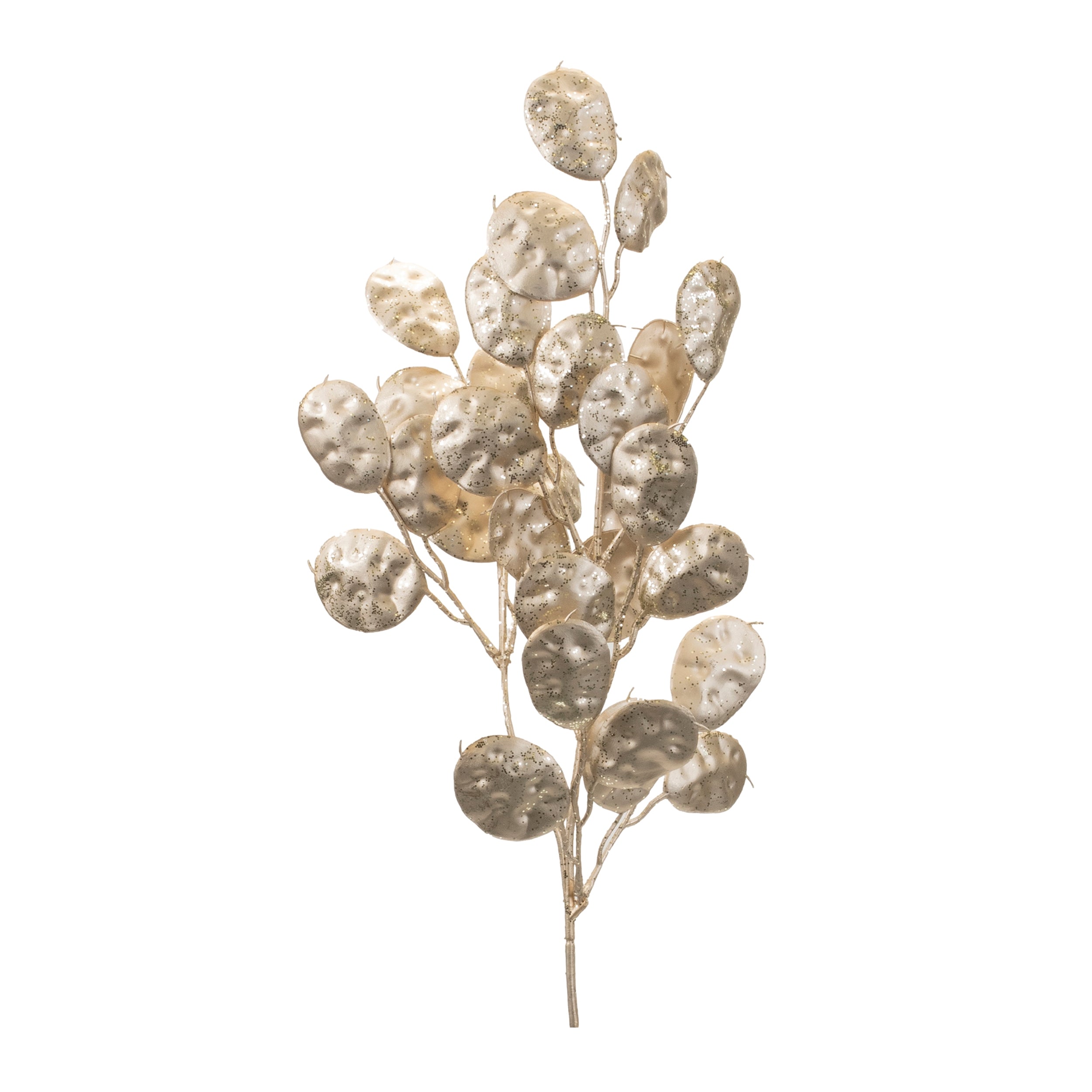 Silver Dollar Spray 26”H
