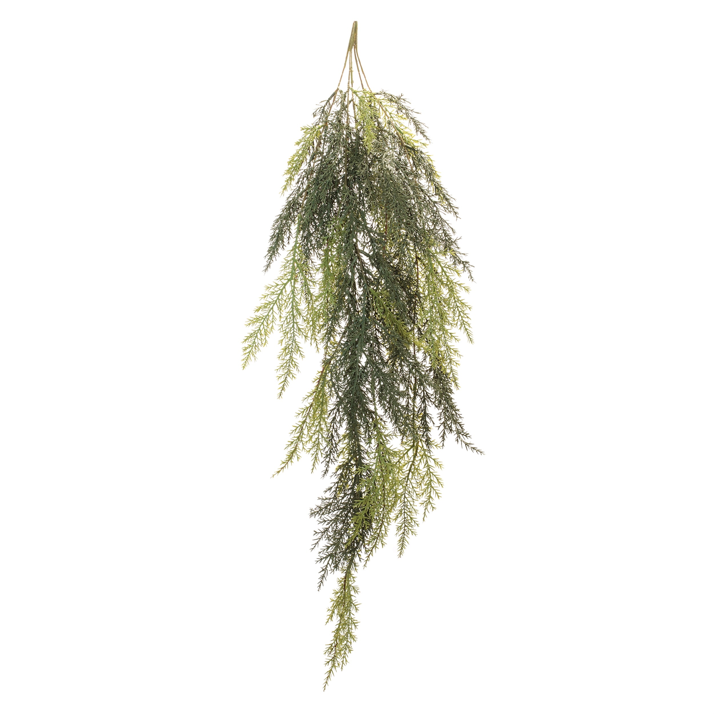 Cedar Hanging Vine 38”H
